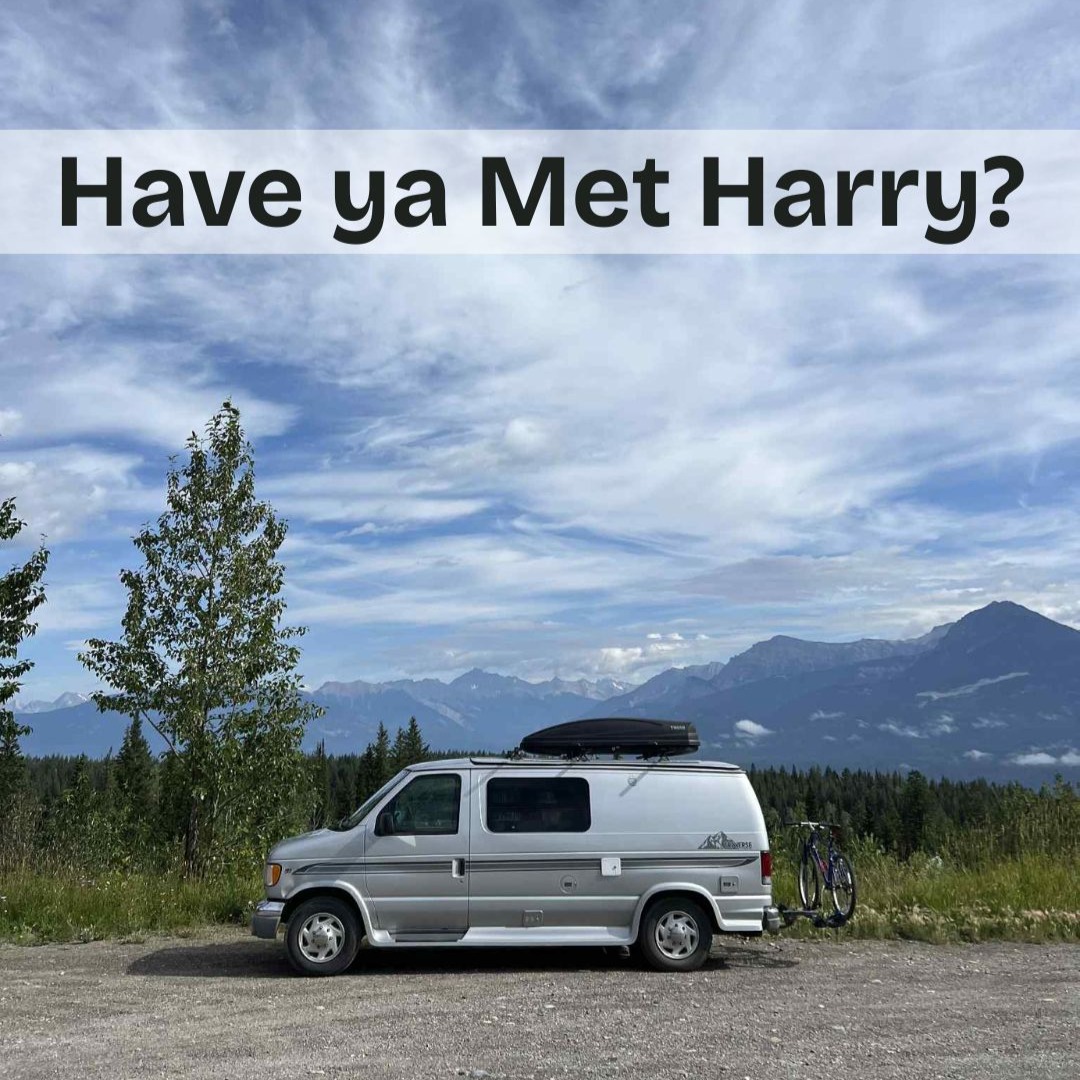 Introducing Harry!
The newest addition to the fleet.
Book him this summer off the link in bio!