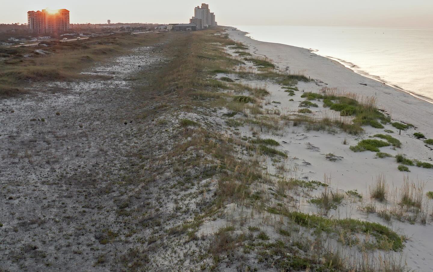 Join us this Saturday Jan 20th 4-7 PM at the Rookery Bay Environmental Learning Center for a @wcff_org screening and film panel discussion of our film ‘Little Beach Mouse from the South’ produced for the U.S. Fish and Wildlife Service Panama City Field Office.
Get your tickets here: https://rookerybay.org/events/festival-of-birds/
‘Little Beach Mouse from the South’ is the story of how the Perdido Key Beach Mouse was almost lost.
This film follows the biologists and the community who came together to find a sustainable balance between development and habitat protection on Perdido Key.
For those who believe conservation can make a difference, our film shot on Perdido Key’s beautiful beaches, will warm your heart.
People can coexist with nature on a beautiful barrier island with frequent tropical storms.