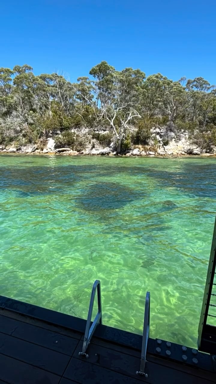 Why is the water so green?
That glowing emerald colour is a sign of a healthy bay. In the warmer months, the seagrass meadows of North West Bay flourish beneath the surface, reflecting sunlight into a brilliant green colour. At the same time it naturally filters the water and captures carbon — keeping the bay clear, vibrant and alive.
Some say it’s nature’s own filtration system — growing and glowing, right beneath Kuuma, but we just like to think that a sunny day is when she likes to show off in her sparkly green dress…
Book a trip with us and you too can swim in a sea of nature’s glittering green gemstones…
#tasmania #comedownforair #hobartandbeyond #tasmaniagram #tassiewhyweloveit