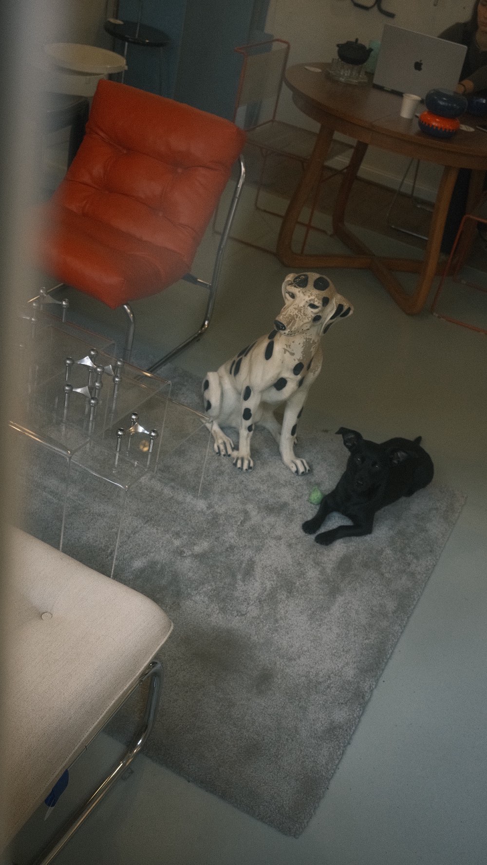 Almost one year since Colette came into my life and it was the best decision ever!!
And gentle reminder: if you can, second hand is always better (for furniture and for dogs). Adopt don’t shop.