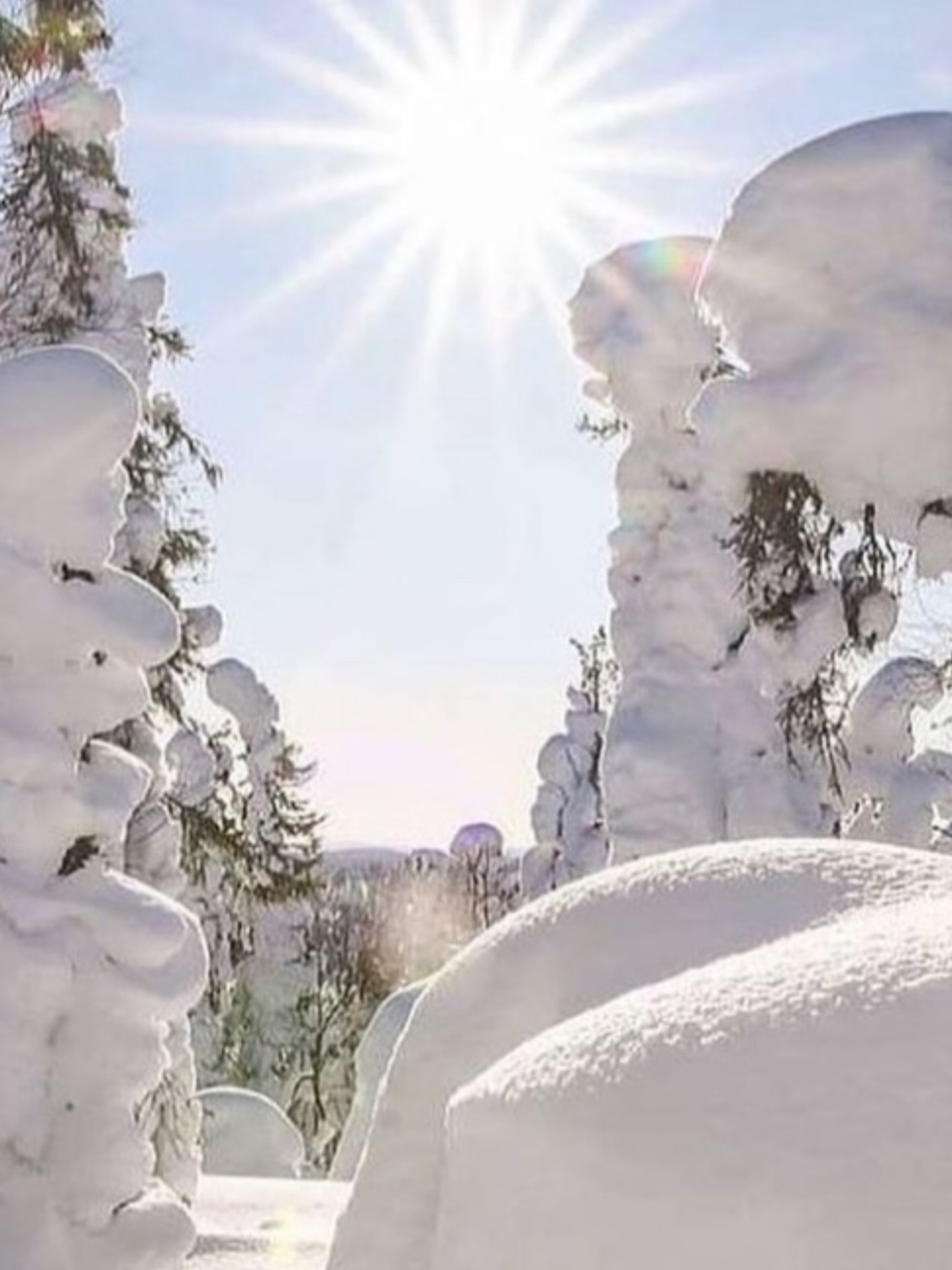 For en beautiful day
#naturephotography #natulovers #lillehammerspa #natur