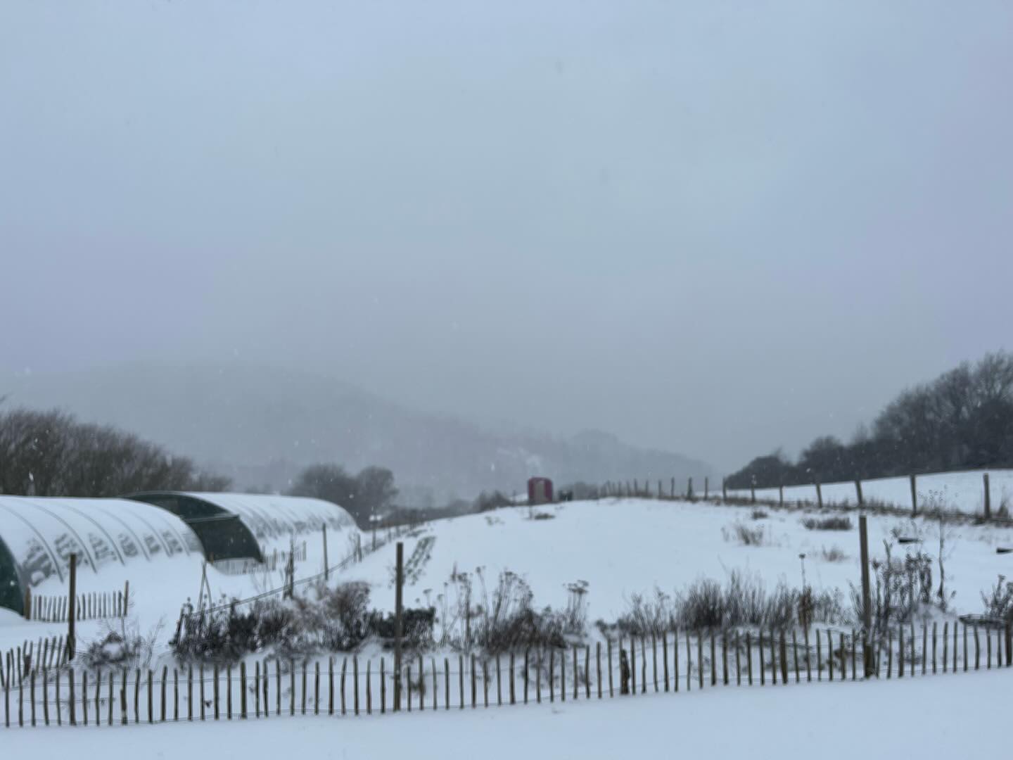 Winter Adé. Jedenfalls erstmal! Damit der Abschied nicht sooo schwer fällt hier noch ein paar Eindrücke vom letzten Schneefall. #schnee #taunus #marktgarten