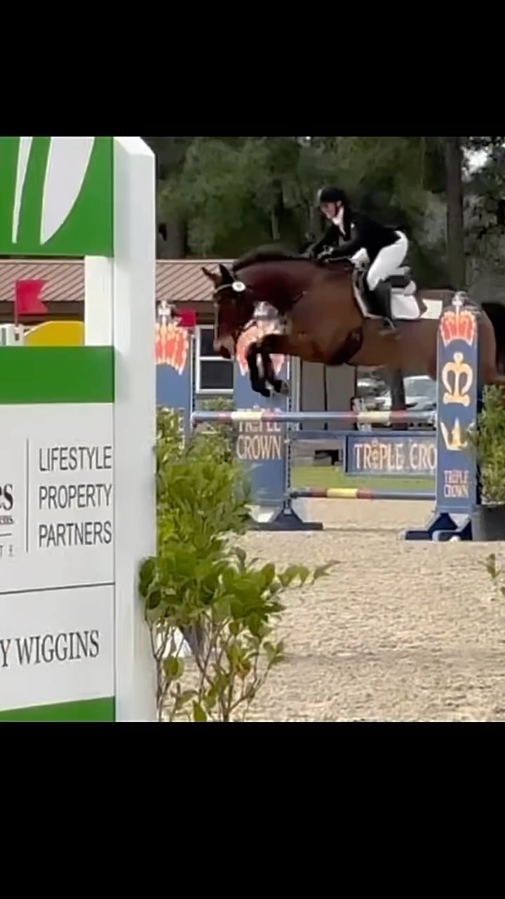 Ted and Hero were great for their first outing of the season after a tough Winter! Both clear XC with some planned time. Ted also sealed a double clear SJ to finish in the ribbons! We were blessed with some amazing weather this weekend too! Thanks to Barb for the help and my only video! Great catching up with everyone!!! #millereventing #carolinahorsepark #fernhillfreestyle🍀 #jukeboxhero🍀