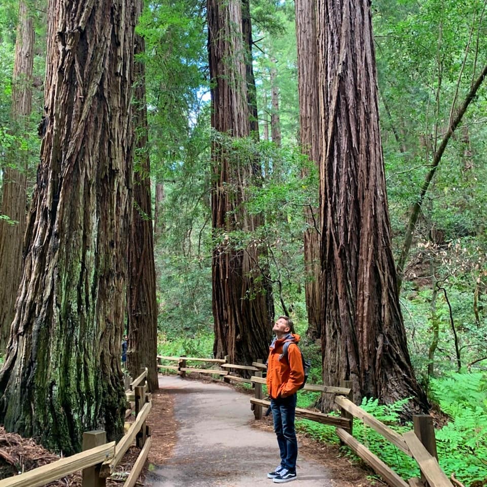 As I walked through the old growth Coast Redwood trees in Muir Woods National Monument, I felt like I was walking through the forest moon of Endor. Some of the trees in this forest stand over 250 feet tall! Nature provided everything these trees needed to grow. Amazing! #muirwoodsnationalmonument #muirwoods #sequioa #redwoods