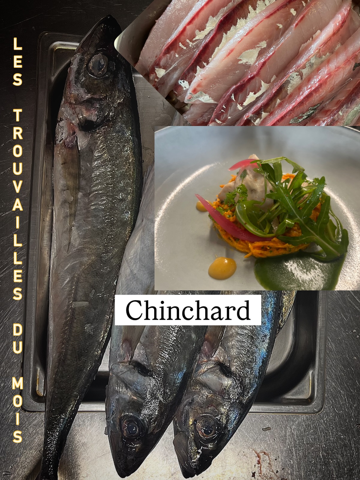 🐟 Trouvaille du mois : le Chinchard !
Un poisson souvent discret sur les étals… mais qui mérite clairement d’être découvert 👀
Le chinchard est un poisson de mer proche du maquereau, avec une chair fine, savoureuse et riche en protéines et en oméga-3.
👉 Sa chair est ferme et délicate
👉 Il se cuisine facilement : grillé, au four ou en marinade
👉 C’est un poisson accessible et plein de goût
Une belle alternative pour varier les plaisirs à table et redécouvrir les poissons de saison !
✨ À tester absolument ce mois-ci
#TrouvailleDuMois #Chinchard #Poisson #Poissonnerie #CuisineDeLaMer ProduitsDeLaMer PoissonFrais @capmaree_rls