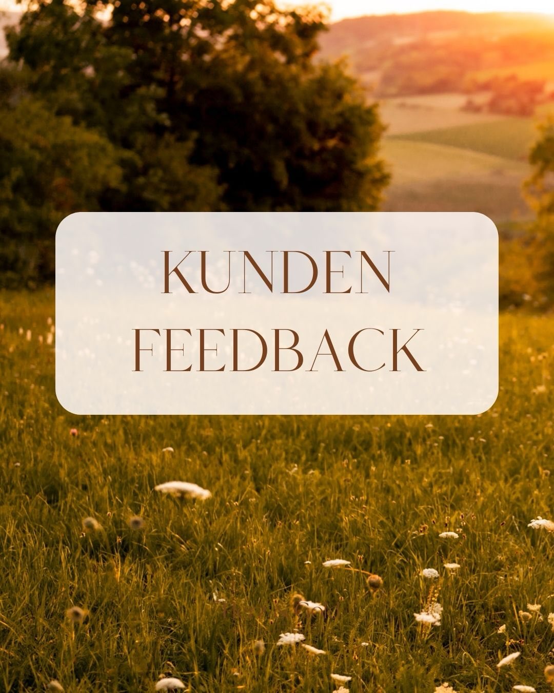 Danke an euch alle für eure wunderbaren Worte 🥰 glaubt mir, bei jeder einzelnen Nachricht, wie sehr ihr eure Fotos liebt, und bei jeder lieben Googlebewertung hüpft mein Herz 😄
Hast du auch Lust, einmalige und wertvolle Familienerinnerungen zu schaffen? Meld dich gern bei mir 🤗❤️
_________
Hi, ich bin Isabel - deine Wohlfühl-Fotografin mit Herz für Hochzeiten & Familien in Weikersheim und Würzburg. Für emotionale Fotos, die euch zeigen wie ihr seid, seid ihr bei mir genau richtig!
Isabel Heine Fotografie
www.herz-und-gold.de
isabel@herz-und-gold.de
Fotostudio Weikersheim
Newbornfotos
Familienfotos
Babybauchfotograf