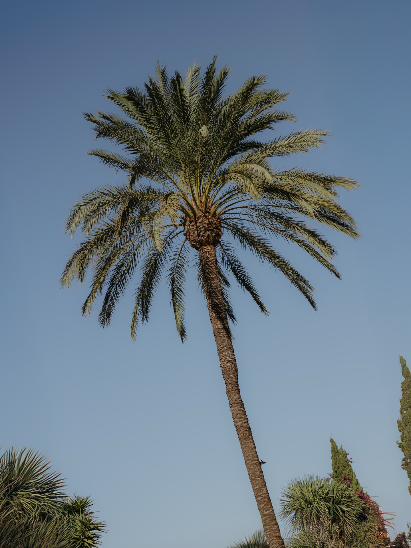 Molly & Scott
Atzarò, Ibiza.
A quick fire collection of some faves.
.
.
@molliemearns__ @scottmearns17
@hiddentreasuresibiza @pronovias @atzaro_hotel
#weddingphotographer #ibizawedding #ibizaphotographer #weddingibiza