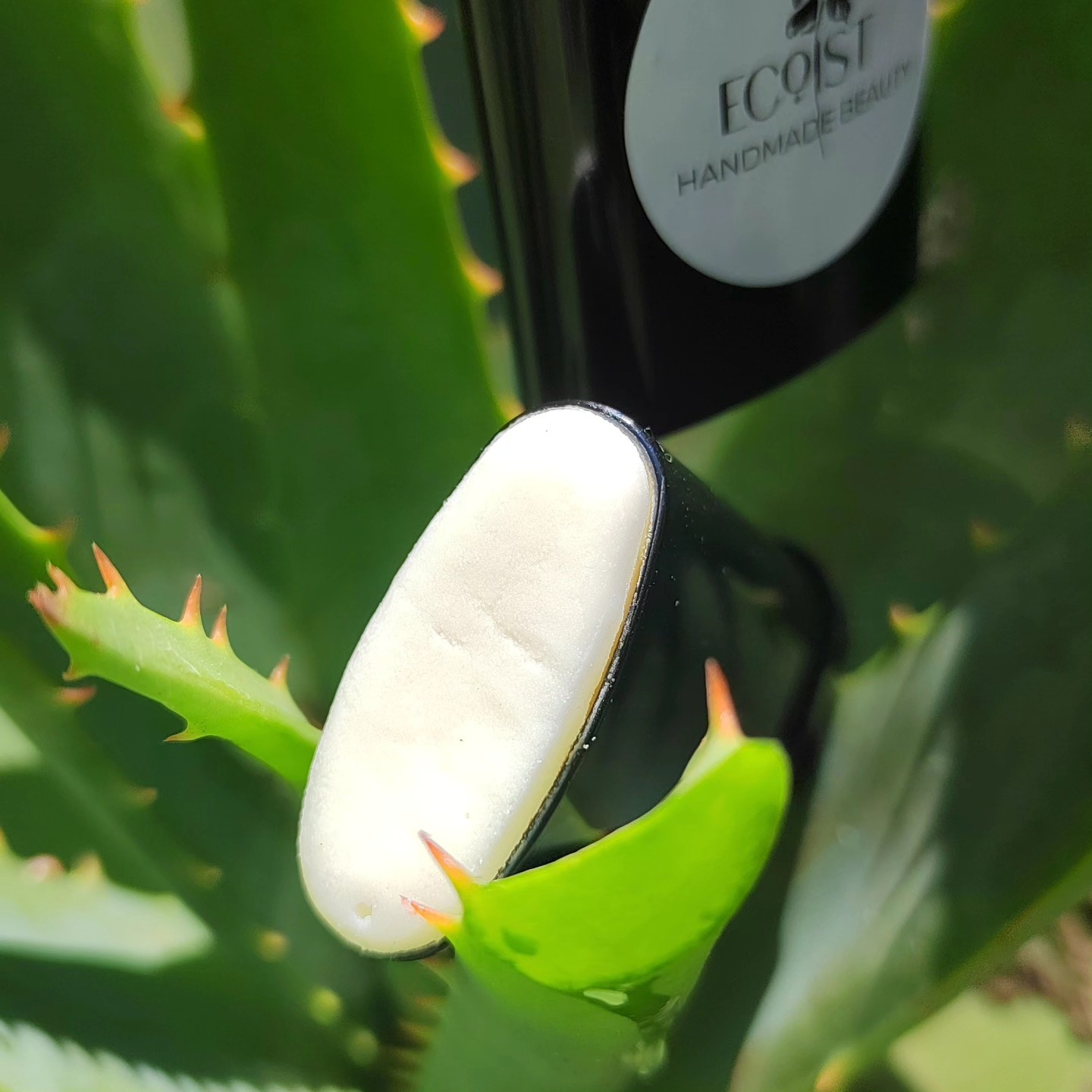 Aloe Vera Stick
46% #oli
15% #aloeveragel #fresca
18% #ceradapi
100% #naturale
For all kinds of skin type.
For all ages.
For all genders.
Ecoist handmade, niche, custom made beauty.