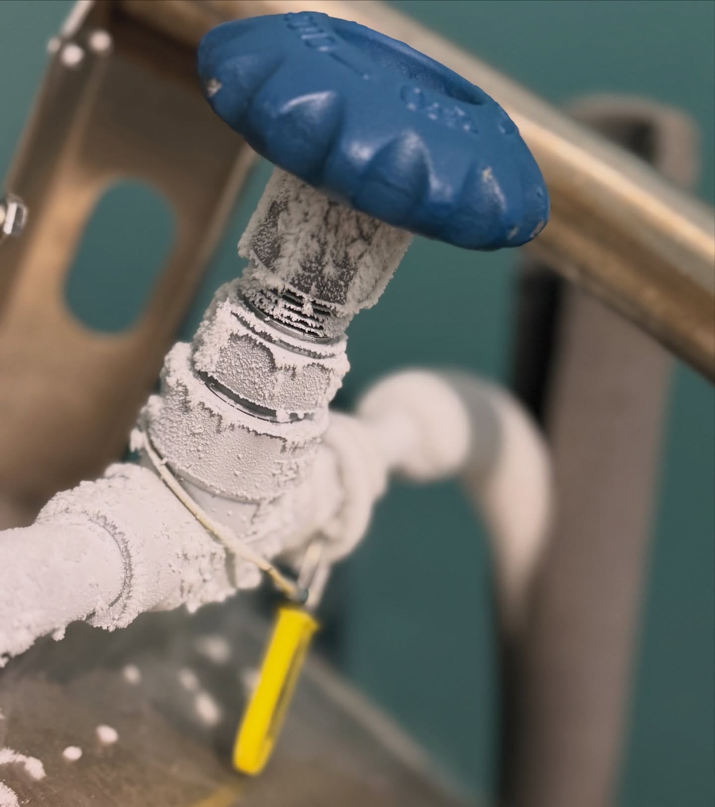 Experience cold exposure like you never have before.
Out 3Min Whole Body Cryotherapy Sessions make cold exposure easy, effective and honestly-
So Fun!
From pain relief to better sleep and everything in between-
Come feel the difference today!