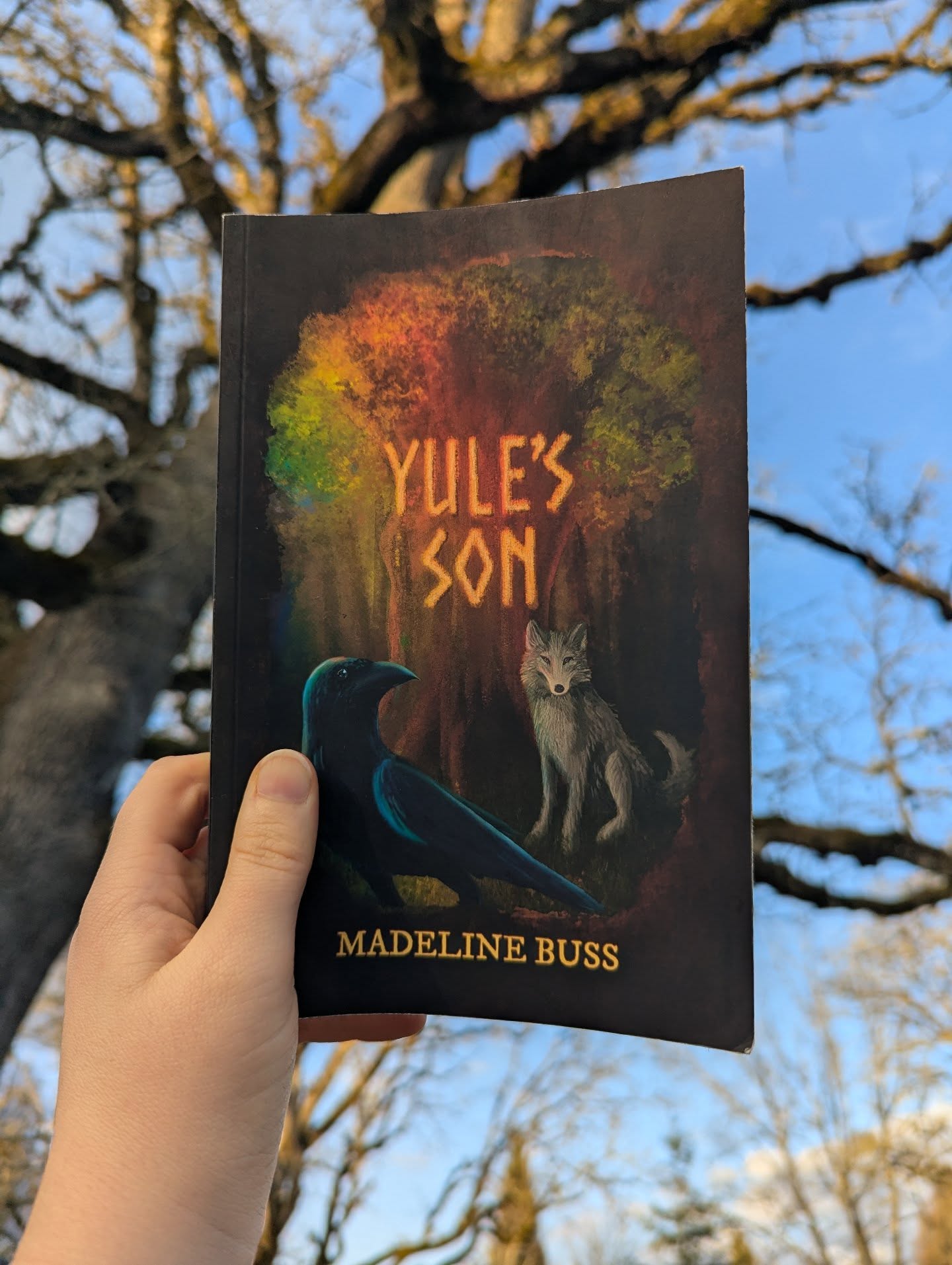 💚 Just a moment of appreciation for this cover. 💚
So happy to have worked this cover out with one of my dearest friends @alicreatively, and I can't wait to start brainstorming for book two!
For the next printing of Yule's Son, we're updating the cover just a teeeeny bit for clarity. Can't wait to share it soon.
#coverart #yulesson #indiebooks #historicalfantasy #vikings