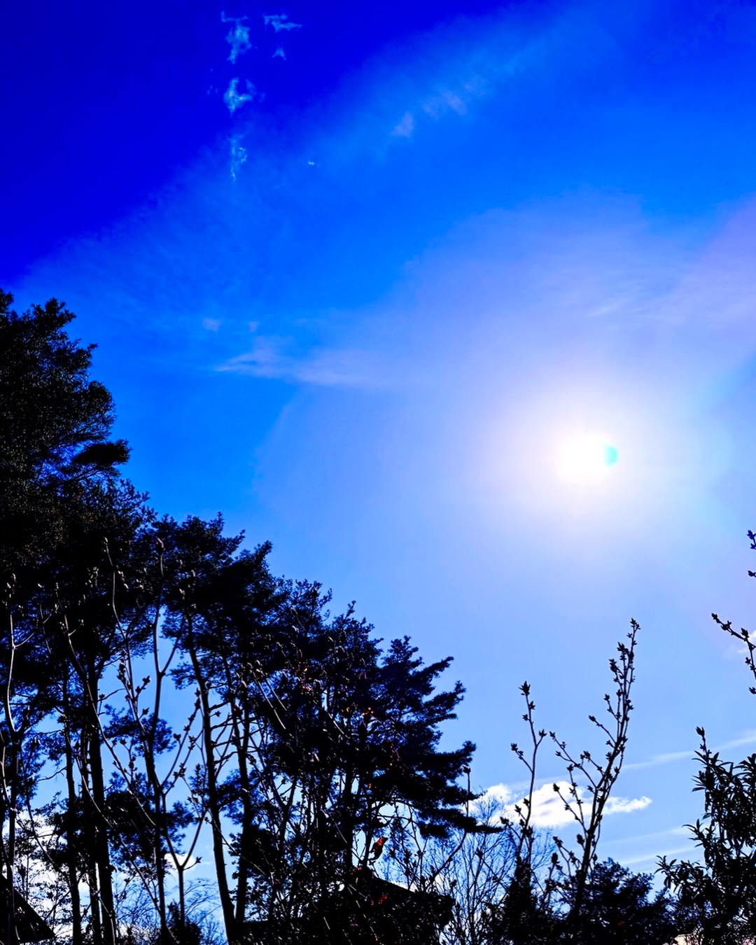 ・白昼夢
・
・
・
・
・#白昼夢
・#薄明グラデーション
・#かわたれどき
・#日本の風景