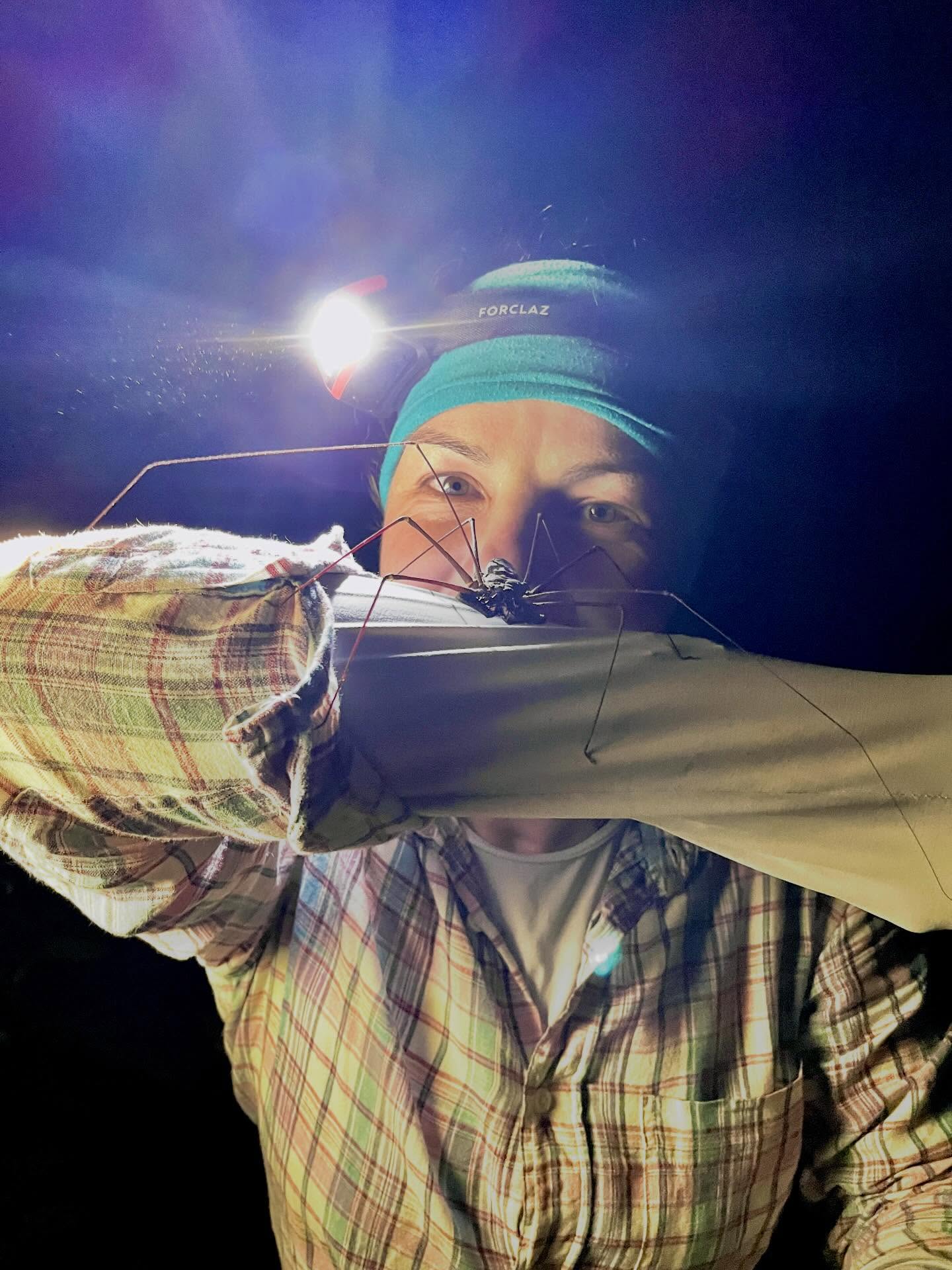 My favourites!!! #amblypygid #losamigosbiologicalstation