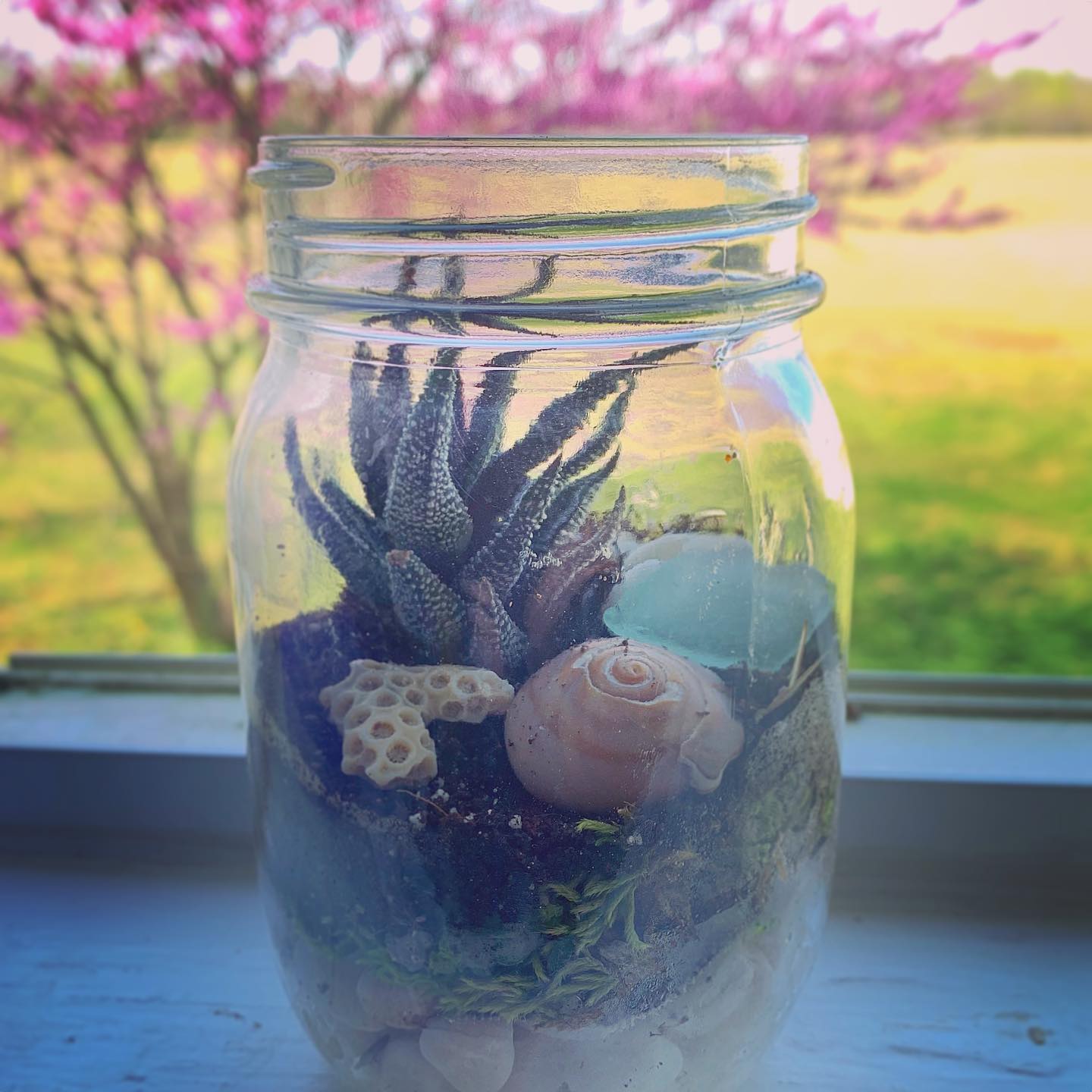Real Kids make terrariums! Check out the Terrarium Challenge under the Let’s Make Something category. #realkids #realkodsplay #terrarium #steam #scienceeducation #busyhands #workingparents #exploringnaturewithchildren