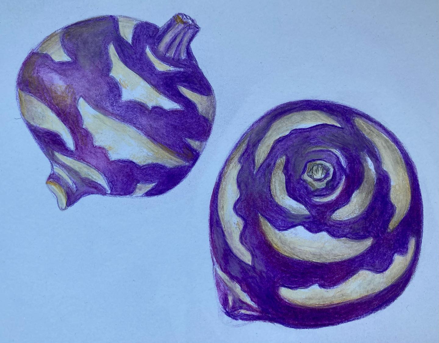 Le chou rave, selon ja Diététique Chinoise!
Un dessin perso, ma recette préférée!
Quel drôle de légume, surtout dans sa version violette! A noter sa magnifique géométrie sacrée! Les tiges ont été coupées, signe d’une direction énergétique ascendante, qui va bien dans le sens d’une action de ce légume très tonifiante.
Son nom chinois est « Pi L’an Tou ». Il fait partie de la famille des crucifères.
Le chou rave est de nature neutre, de saveur douce, amère et piquante (ce qui lui permettra de nombreuses fonctions, à la fois de circulation et de détox). Il a pour tropismes Rate/ Estomac.
Il tonifie et régularise le QI, l’Energie, voir le Yang, tonifie la Rate dans sa fonction de produire de l’Energie et du Sang. Il nourrit et harmonise le Sang, défait les stades de sang. Il élimine le Froid, chasse l’Humidité, dissout les glaires. Il régularise la Voie des Eaux, il libère la surface. Il stimule l’appétit, dispersé la stagnation d’aliments. Il favorise la diurèse et les selles.
C’est une excellente source de vitamine C, de magnésium, de potassium et de vitamine B6. Il serait intéressant aussi (comme tous les crucifères) en prévention du cancer.
Attention toutefois de ne pas en abuser, au risque de distension abdominale (surtout cru) ou pendant un épisode d’éruption cutanée!
A consommer plutôt cru, car il perd de sa saveur de noisette cuit.
Ma recette préférée: Carpaccio de chou rave et radis violet! La recette dans mon prochain article!
#chourave #chouxraves #choux #cruciferes #cruciferescancer #legumes #légumes #legumesante #bonpourlasanté #alicaments #alimentsanté #alimentsquisoignent #dietetiquechinoise #madreperlamtc