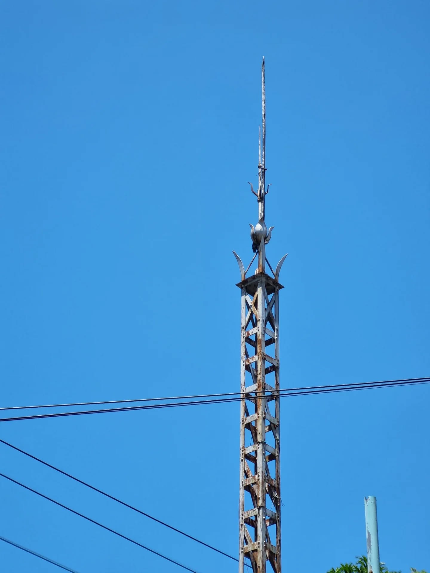 Oi Dusanak!
Jika kamu sering melewatinya, di depan kantor PT Pos Indonesia dan Telkomsel di Kota Sibolga, berdiri sebuah tiang besi tua yang diduga merupakan sisa jaringan telekomunikasi era Hindia Belanda pada awal 1900-an. Struktur rangka besinya menunjukkan bahwa tiang ini kemungkinan pernah menjadi bagian dari jaringan telegraf atau telepon awal, yang dibangun dan dikelola oleh dinas Post, Telegraaf en Telefoon Dienst.
Keberadaannya sangat menarik karena tiang dengan konstruksi yang estetis seperti ini kini tergolong langka di Indonesia. Sebagian besar sudah hilang atau diganti oleh infrastruktur modern, sehingga sisa yang masih berdiri dapat dianggap sebagai artefak sejarah telekomunikasi awal.
Kehadiran jaringan komunikasi ini juga sejalan dengan peran penting Sibolga pada masa kolonial sebagai ibu kota Residentie Tapanoeli. Sebagai pusat administrasi di pantai barat Sumatra, kota ini membutuhkan sistem komunikasi cepat untuk menghubungkan pemerintahan, pelabuhan, dan wilayah sekitarnya.
Jika ditelusuri lebih lanjut, tiang besi ini berpotensi menjadi objek cagar budaya, karena tidak hanya menyimpan nilai sejarah teknologi, tetapi juga menjadi saksi perkembangan komunikasi modern di kota pelabuhan bersejarah ini.
#sibolga
#sejarahsibolga
#residentapanoeli
#sibolgaheritage
#unit1913