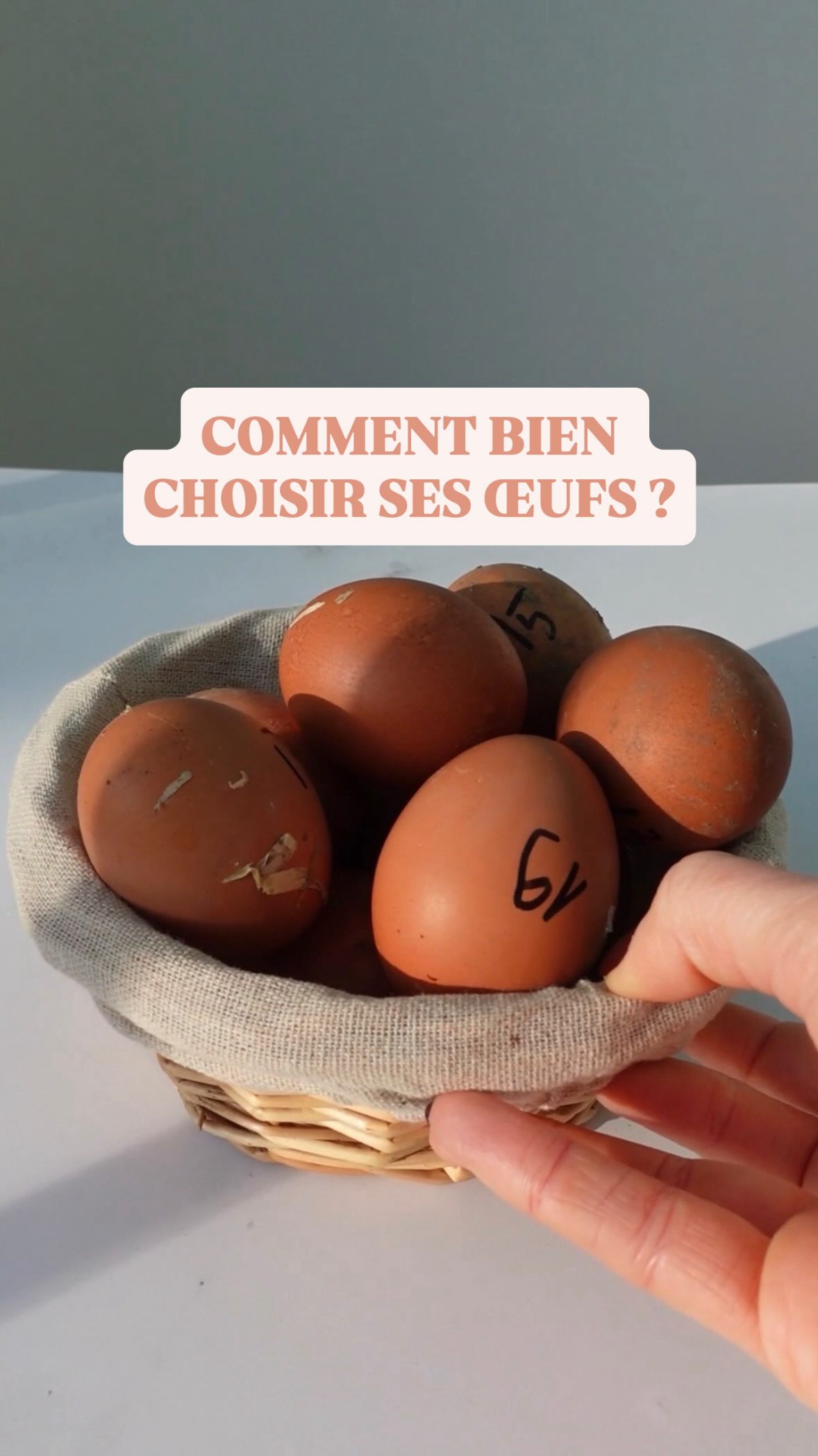 L’œuf n’est pas seulement un aliment simple du quotidien : sa qualité nutritionnelle dépend directement de l’alimentation de la poule. Une poule nourrie principalement au maïs, soja ou tournesol produit des œufs plus riches en oméga-6 pro-inflammatoires. À l’inverse, lorsqu’elle consomme du lin, du colza, de la luzerne, de l’herbe et des insectes, l’œuf devient naturellement plus riche en oméga-3, EPA et DHA, des nutriments essentiels pour la santé cardiovasculaire, le cerveau et l’équilibre inflammatoire.
Choisir ses œufs devient alors un véritable choix santé et nutrition. En France, certaines filières comme Bleu-Blanc-Cœur ou les œufs bio enrichis en oméga-3 cherchent justement à améliorer la qualité nutritionnelle grâce à l’alimentation des poules.
Un œuf issu d’une poule bien nourrie, élevée au grand air, avec une alimentation variée et naturelle, peut devenir un véritable allié du bien-être, de l’alimentation saine et de la prévention santé.
Bien manger commence souvent par faire attention aux détails : l’origine, l’élevage et l’alimentation de l’animal.
Parce que la nutrition de l’animal influence directement la qualité de notre assiette.
Nutrition préventive, oméga-3, inflammation, alimentation saine, santé par l’alimentation, bien manger, qualité des aliments, choix des œufs, nutrition naturelle, bien-être. 🥚🌿💛
#oeufs #mangermieux #mangerbio #nutrition #santenaturelle