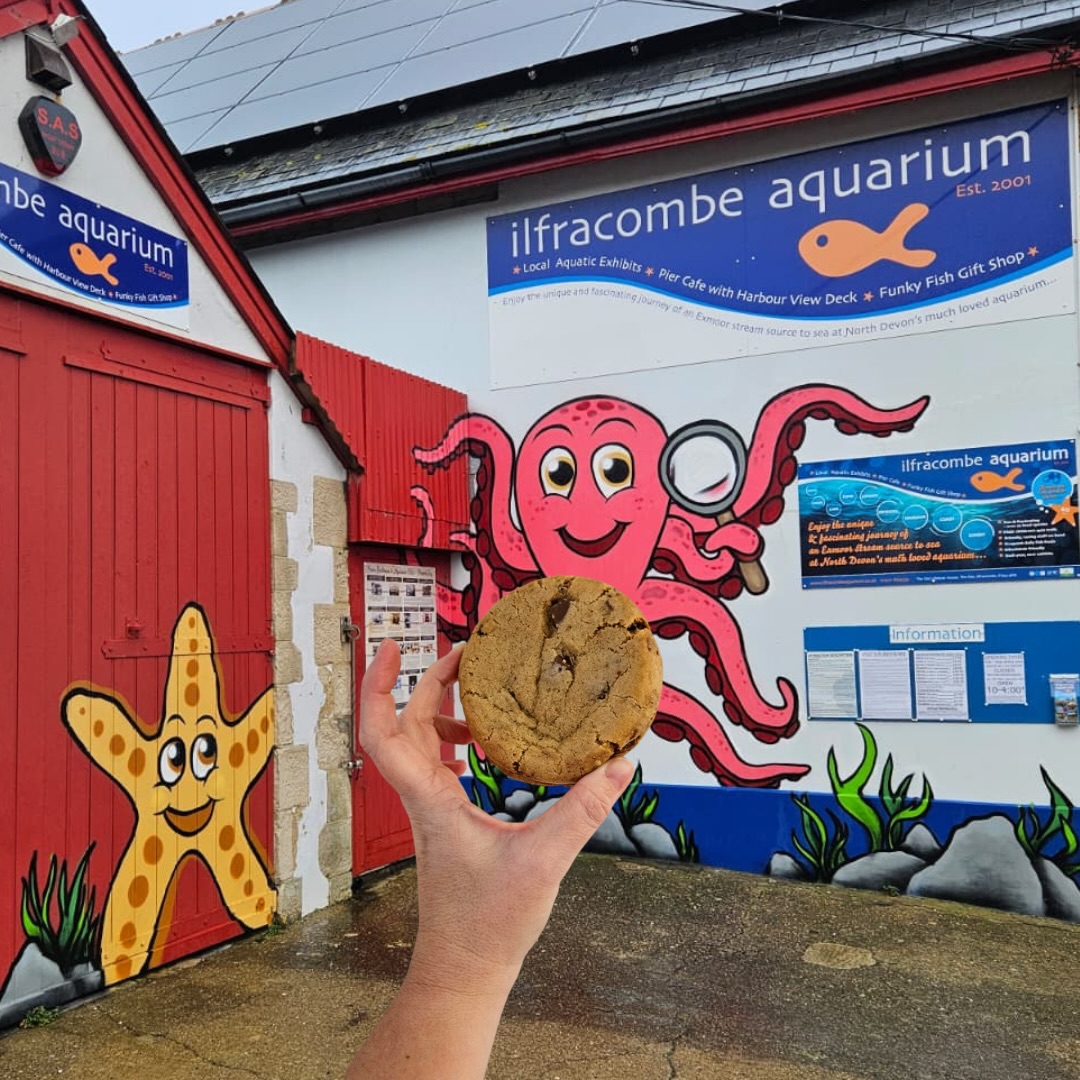 Good news - @ilfracombeaquarium is officially back open for the year, and we’re so happy that they’ve restocked with a whole load of our delicious bakes for their customers to enjoy.
Being stocked there isn’t just about cookies, it’s about small businesses supporting each other. Every time you pick up one of our cookies from their counter, you’re helping two local businesses thrive, and doesn’t that feel good? It’s all part of keeping the community deliciously local.
We love that people even come into the harbour on their boats and head straight to the café specially for our cookies! And if you didn’t know, you can pop into the café without paying admission to the aquarium. There’s a little outside seating area by the entrance and a serving hatch, so you can grab a cookie (or two) even if you’re just passing through the harbour.
If you’re a café, deli or farm shop looking for delicious, artisan bakes to stock or serve, you can register as a trade stockist on our website: www.willow-finch.co.uk/trade