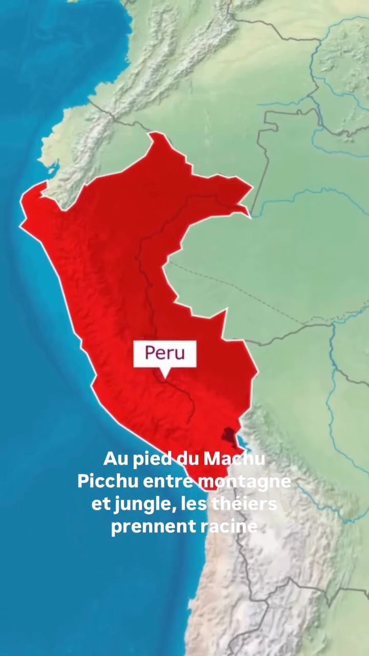 ✨ PREMIER EXPOSANT – INKATERRA ✨
📍 Machu Picchu, Pérou 🇵🇪
Le thé du Pérou s’invite au Paris Tea Festival, avec Inkaterra.
Au pied du Machu Picchu, entre montagne et jungle, les théiers prennent racine dans une terre encore habitée de mémoire.
La brume du matin enveloppe les jeunes feuilles, le soleil andin les éclaire, et la vallée du Wilcamayu accompagne leur croissance comme un souffle ancien.
Ici, la cueillette se fait à la main, avec soin et gratitude. La culture respecte les rythmes naturels et l’équilibre vivant des Andes.
Chaque feuille porte l’altitude. Chaque tasse évoque la forêt, la pierre, la pluie andine. Un thé né entre ciel et jungle, sous les étoiles de l’hémisphère sud.
Retrouvez Inkaterra au Paris Tea Festival.
🗓️ 14 JUIN 2026📍 Maison Internationale (Paris 14è)
🎟️ Billetterie disponible sur paristeafestival.com
Que viva Perú. 🇵🇪
✨ FIRST EXHIBITOR – INKATERRA ✨
📍 Machu Picchu, Peru 🇵🇪
Peruvian tea joins the Paris Tea Festival with Inkaterra.
At the foot of Machu Picchu, between mountain and jungle, tea bushes take root in land still filled with memory. Morning mist wraps the young leaves, the Andean sun reveals them, and the Wilcamayu valley carries their growth like an ancient breath.
Here, harvesting is done by hand, with care and gratitude. Cultivation follows natural rhythms and respects the living balance of the Andes.
Each leaf carries altitude.
Each cup evokes forest, stone, and Andean rain.
A tea born between sky and jungle, beneath the southern stars.
Meet Inkaterra at the Paris Tea Festival.
🗓️ JUNE 14 2026
📍 Maison Internationale (Paris 14è)
🎟️ Tickets available at paristeafestival.com
Que viva Perú. 🇵🇪
#paristeafestival #ptfouiouioui🔥 #inkaterraperu