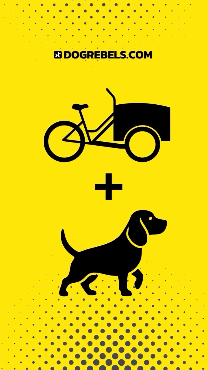 Anzeige: Bist du ready für den Frühling?
Die Tage werden länger.
Die Sonne kommt zurück.
Und dein Hund? Der steht schon mit Leine im Maul vor dir.
Frühling heißt: rausgehen, Neues entdecken, gemeinsam unterwegs sein.
Aber warum nur spazieren, wenn ihr gemeinsam weiterkommen könnt?
Hund + Lastenrad = Greenmoves 🚲💚
Nachhaltig unterwegs.
Mehr Strecke.
Mehr Abenteuer.
Mehr gemeinsame Zeit.
Ob zum Park, zum See oder einfach einmal quer durch die Stadt – dein Hund ist nicht nur dabei, sondern mittendrin.
Also: Helm auf, Hund rein, Frühling starten.
Seid ihr ready für euren Greenmove?
#DocRebels #Greenmoves #Frühlingsgefühle