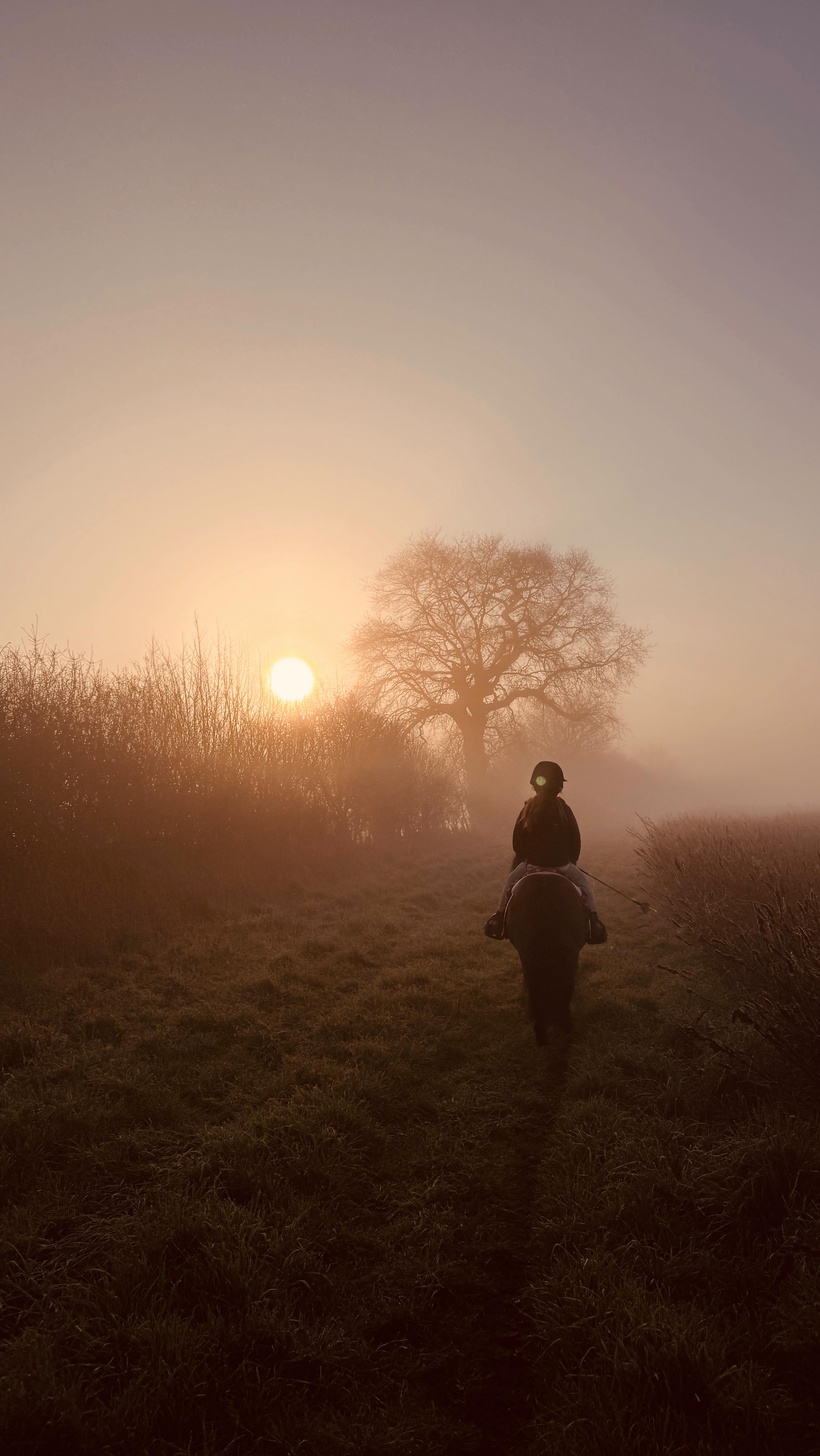 The Academy is busy and it’s jam packed full of content that will help improve your riding, horsemanship and knowledge.
Not only does it have over 400 hours of classes in all subjects from -
• Rider fitness classes - Strength and Suppleness
• Riding theory in deeply informative webinars
• Horsemanship & Horse Behaviour
• Horse Care Classes
• Rider Confidence and the nervous system
But we also have 5 live classes a week that you can join online
If you’re looking for an affordable way to learn and improve every aspect of your riding have a look 👀 at my academy.