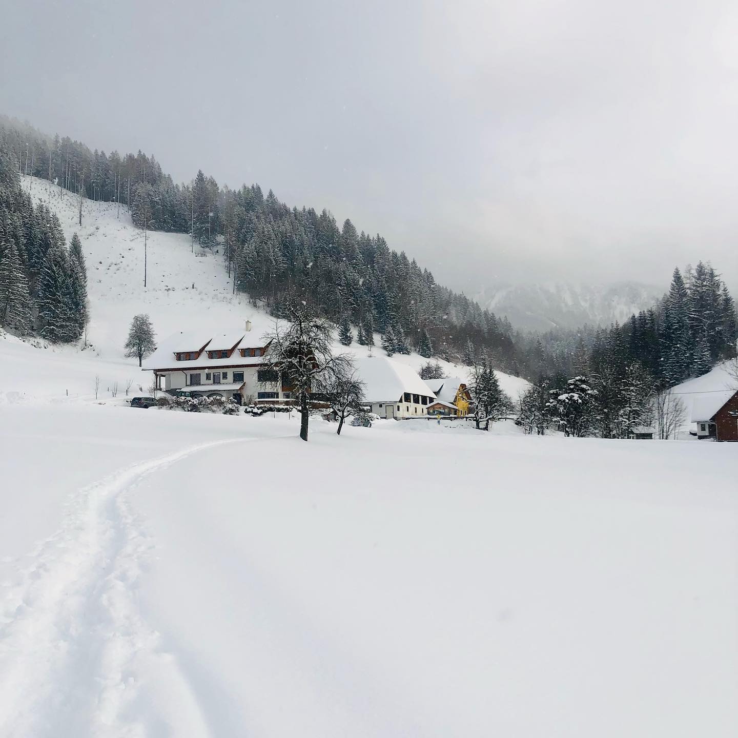 Jetzt ist es bei uns auch richtig Winter!
#walkinginawinterwonderland #hintergrabenbauer #urlaubambauernhof #pyhrnpriel #spitalampyhrn #oberweng #visitaustria
#wandern #skifahren #garten #kurzeauszeit #wurzeralm