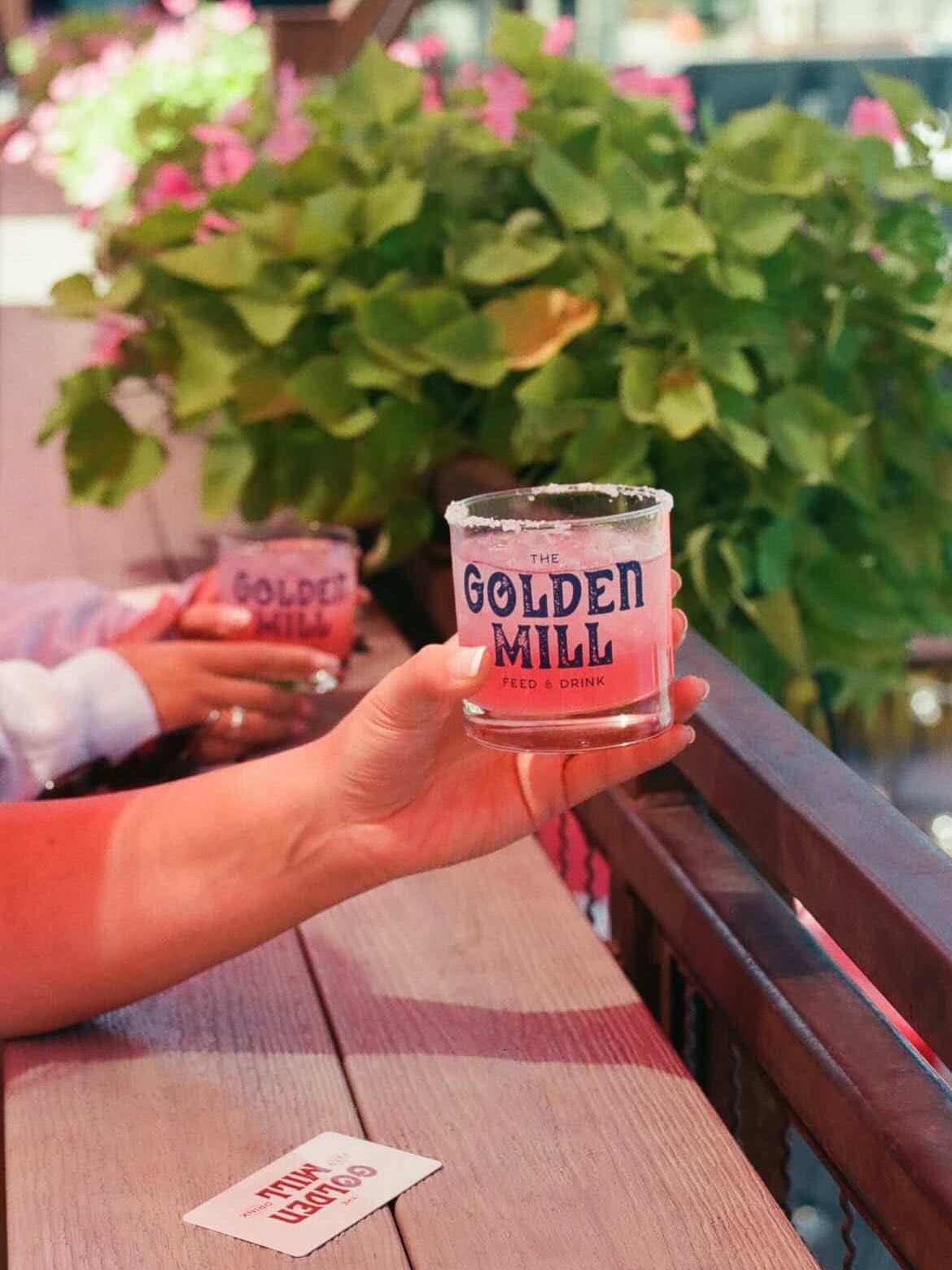 Golden Mill, golden retrievers and golden hour 🌄 Thank you to our friends for these golden moments @lexi.walk @maricarlsonphoto @toddlee57