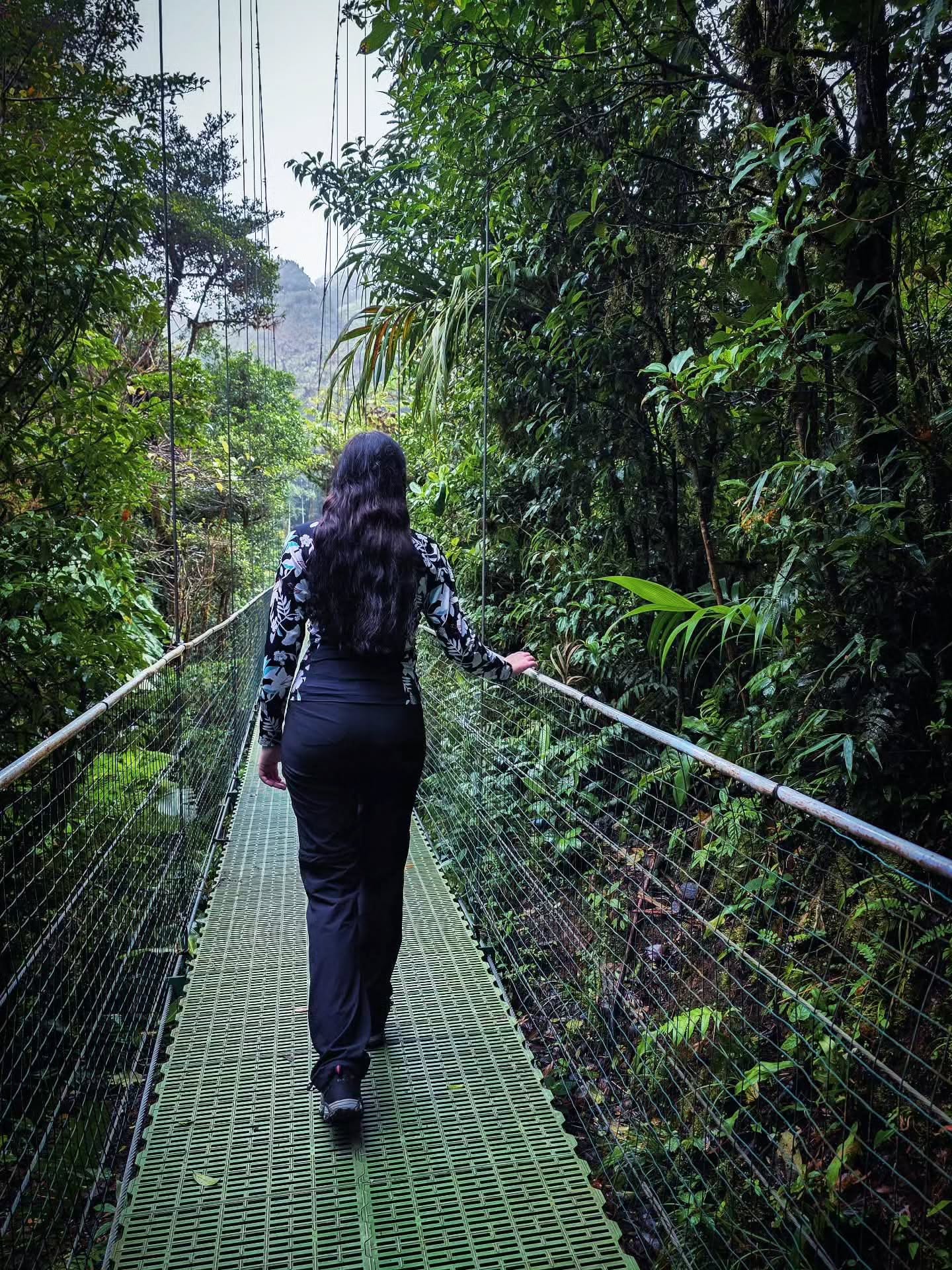 𝑰𝒏𝒕𝒐 𝒕𝒉𝒆 𝒘𝒊𝒍𝒅. 𝑴𝒐𝒏𝒕𝒆𝒗𝒆𝒓𝒅𝒆’𝒔 𝒋𝒖𝒏𝒈𝒍𝒆, 𝒆𝒏𝒅𝒍𝒆𝒔𝒔 𝒈𝒓𝒆𝒆𝒏, 𝒂𝒏𝒅 𝒕𝒉𝒂𝒕 𝑷𝒖𝒓𝒂 𝑽𝒊𝒅𝒂 𝒇𝒆𝒆𝒍𝒊𝒏𝒈. 𝑪𝒐𝒔𝒕𝒂 𝑹𝒊𝒄𝒂 𝒂𝒕 𝒊𝒕𝒔 𝒇𝒊𝒏𝒆𝒔𝒕. 🇨🇷🐒🌿
#monteverde #costarica #puravida #junglefeeling
@costarica
@visit_costarica