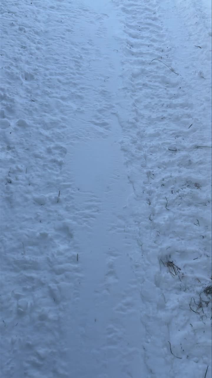Guess who dropped both antlers! #KenaiReindeerFarm #Alaska #reindeer #antler #antlers