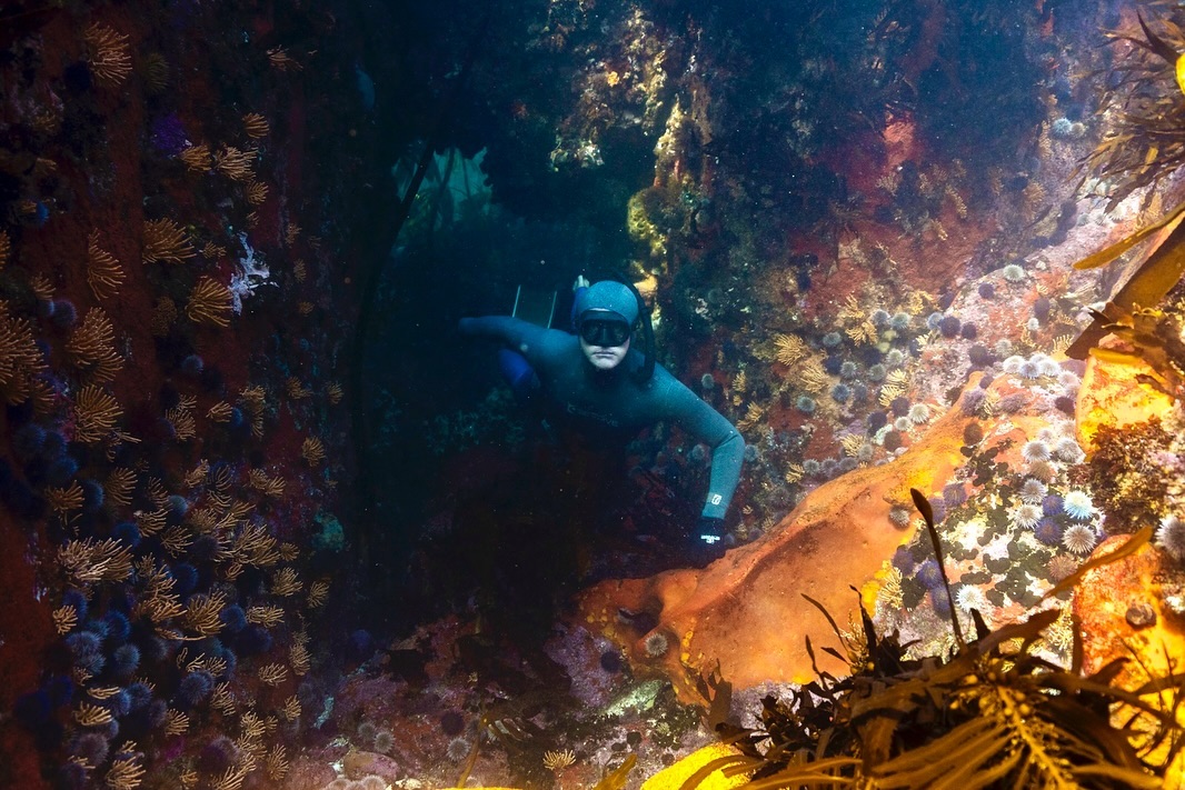 My kinda forest bathing.
📸 @ishoottheworldcom