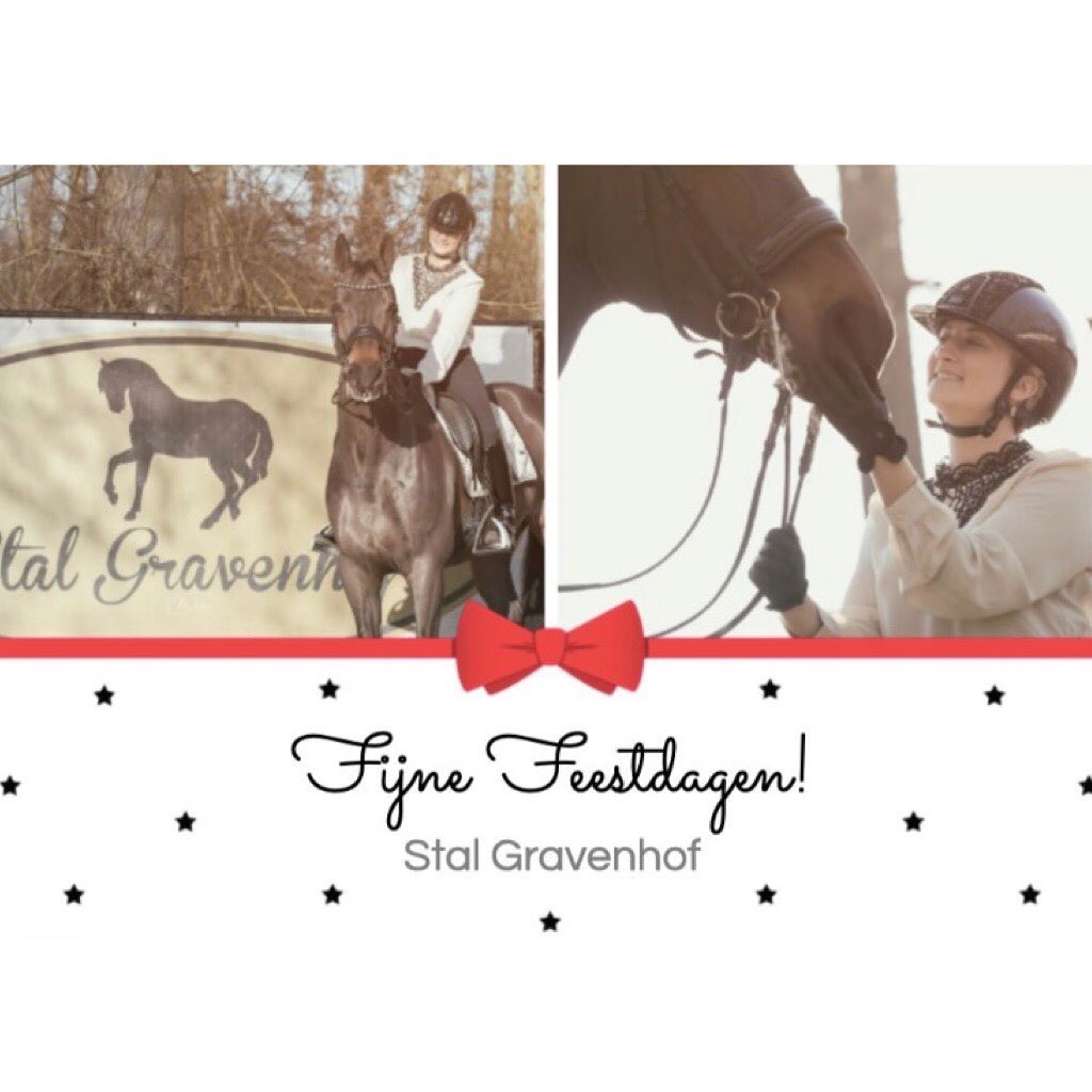 Fijne feestdagen ✨♥️