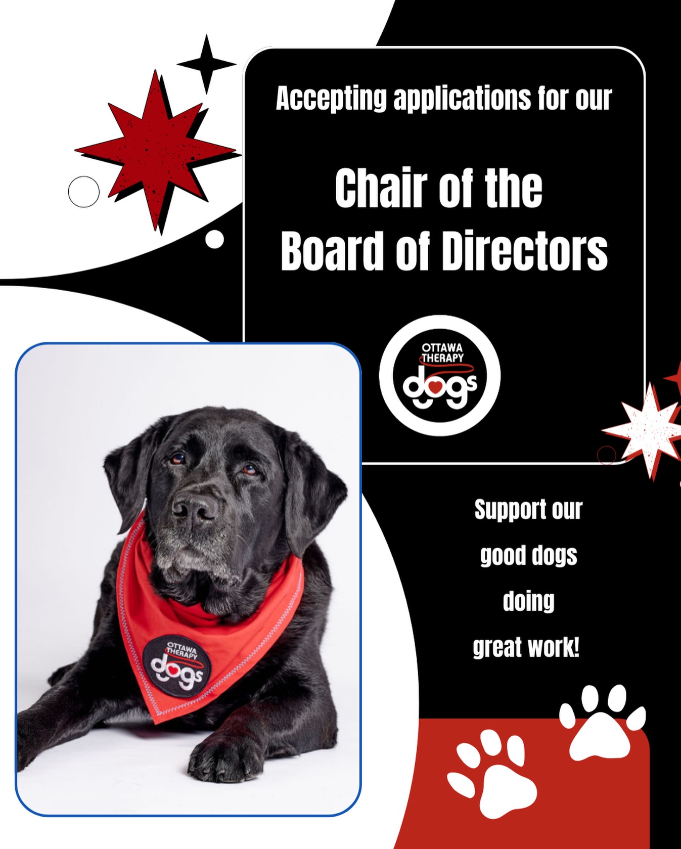 If you believe in the power of the human-animal bond and have Board or volunteer experience with charitable organizations and good leadership, communication, and interpersonal skills, then this role is for you! Experience in strategic planning and oversight, fundraising, or organizational and people management would also be an asset.
Application deadline: March 15
For more details visit the link in our Bio