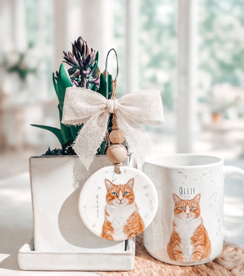 This one still has me like 😍. Swipe to see video.
#cat #love #pretty #aesthetic #orangecounty