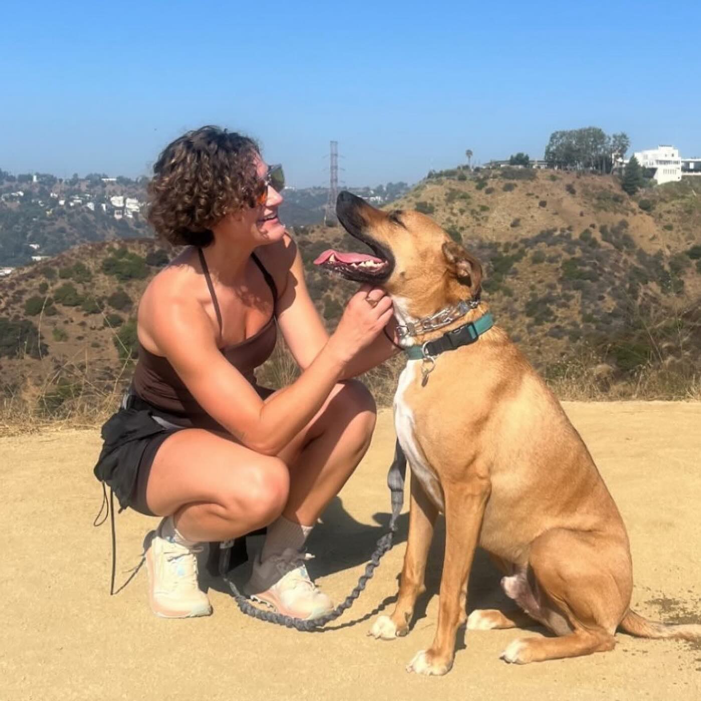 Happy 4th Birthday to a gal’s best friend, sir Campion! 🐕🏞️🎂
#adoptdontshop #loveatfirstmutt