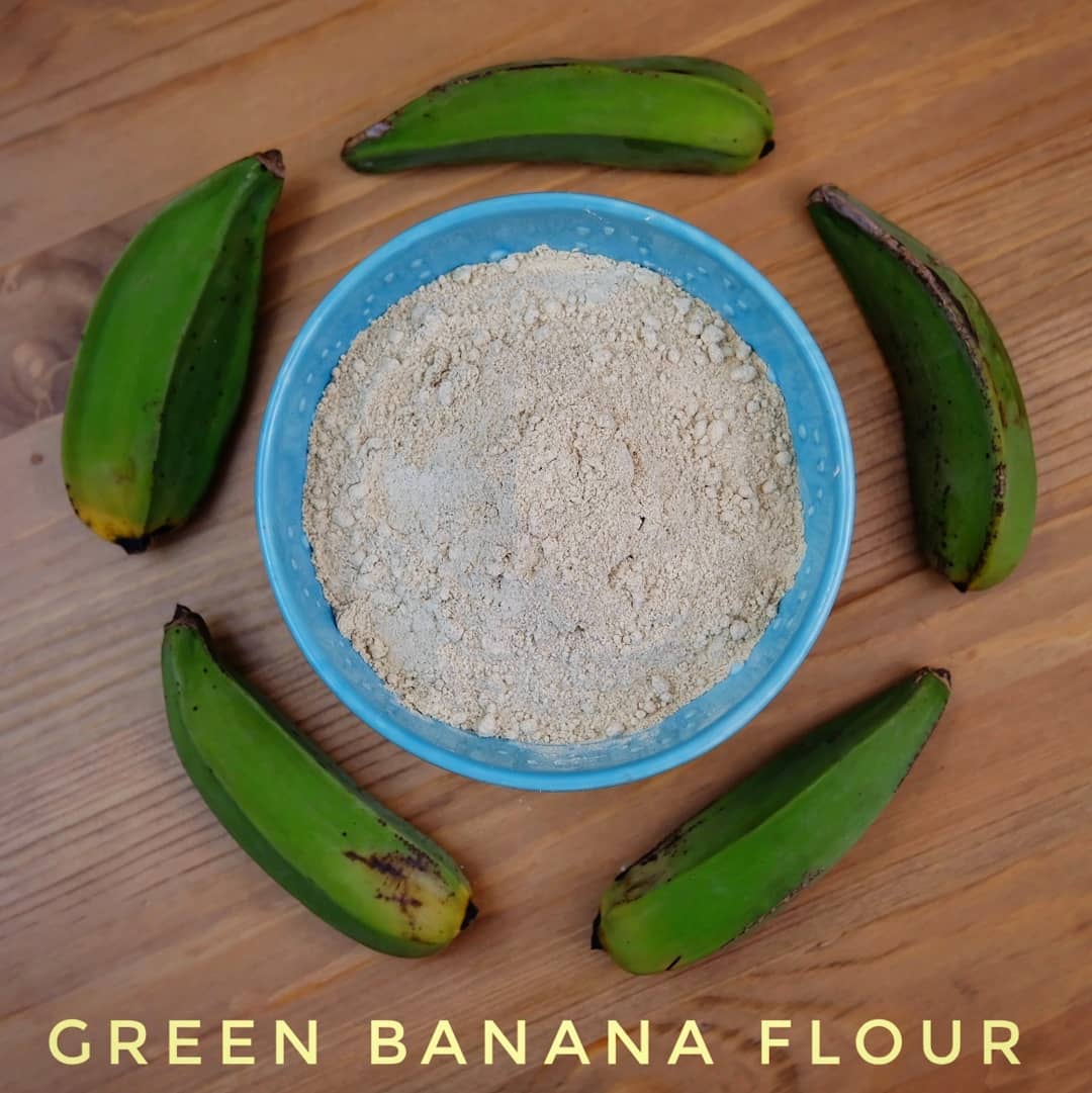 Homemade, Homegrown Green Banana Flour. Lately, I've been experimenting with making different flours from what I grow. Raw green bananas are gluten free and high in resistant starches which feed beneficial microbes in the gut. These help boost the immune system and increase overall wellness. Keep the skin for a boost of nutrients. The banana chips taste great on their own for a delicious snack. Slice, dehydrate, and blend! Add to smoothies and tastes great in pancakes and baked goods. #greenbanana #guthealth #microbiome #bananas #prebiotics #probiotics #permaculturegarden #permaculture #bacteria #resistantstarch #greenbananaresistantstarch #glutenfree