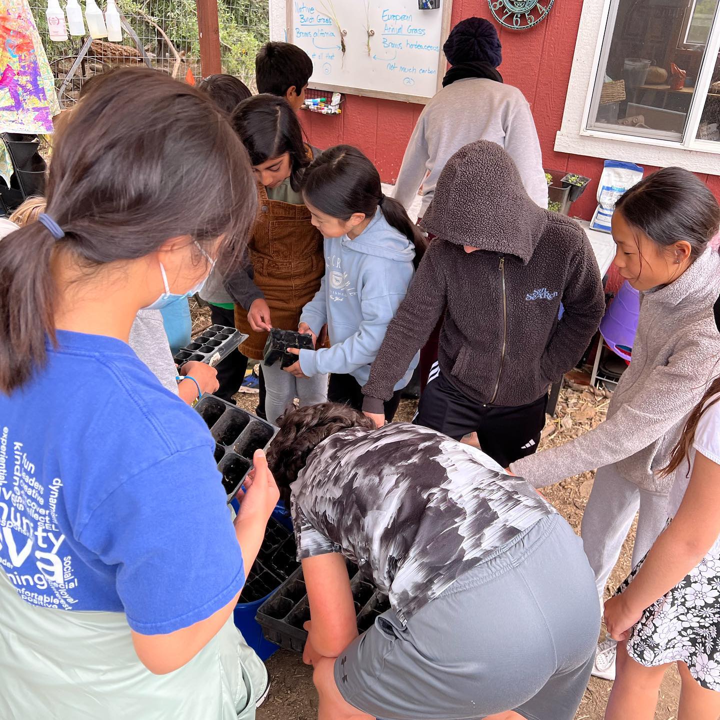 Super Plants leadership team members from @thenuevaschool recently shared Project Super Plants with younger Nueva 5th graders in @cristina_science’s classroom.
After learning about CO2 emissions and global warming, students headed to the garden and planted their own native Super Plants to capture CO2!