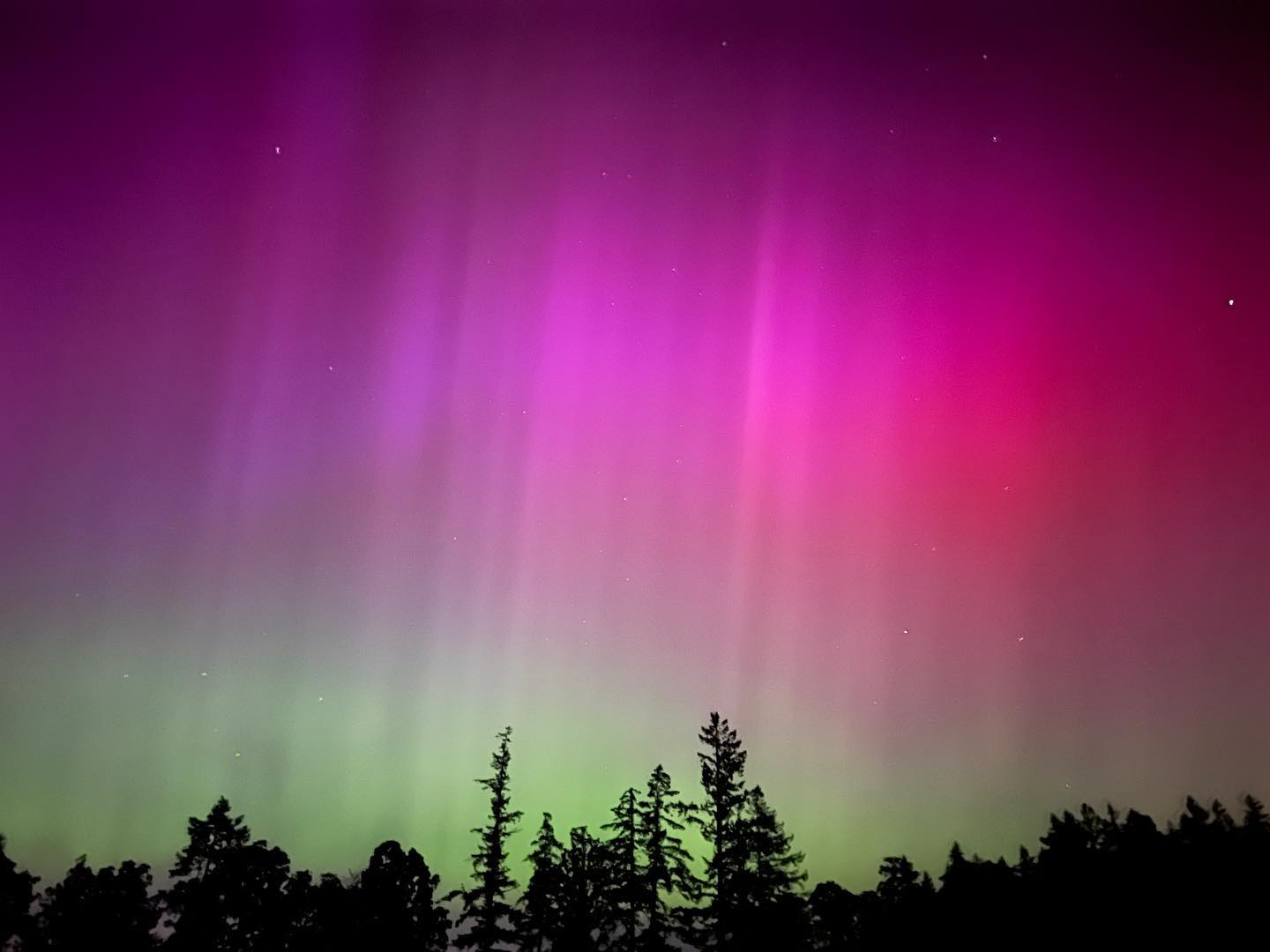 Because she definitely needed some spotlight after tonightās show! My family stayed up and watched the changes come and go. The lights were gorgeous and so fun to watch dance across the sky š. Seriously feel so blessed to experience this wonderment with my kiddo and family.
.
.
.
#portland #oregon #auroraborealis #northernlights #pnwlife #pnwcollective #oregonexplored #blessed #blessedlife #godisgood #heavenly #wedding #weddingplanner #loveandlight #imagepoetry