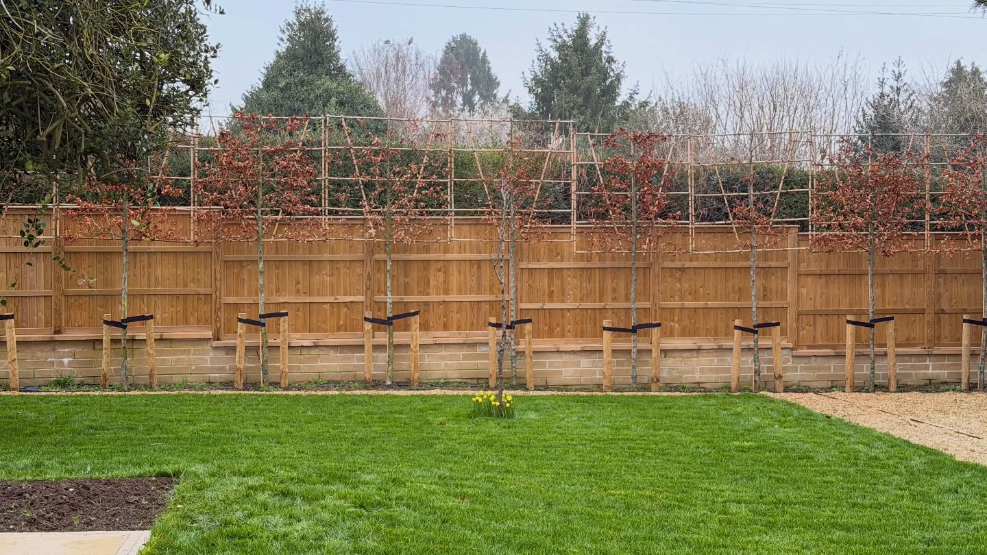Today is Monday! 🌿
Our first visit back to this property since last year as part of one of our many garden maintenance contracts. The first job on the list was tackling the high grass and getting everything cut back under control.
We also started working through the weeds and giving the garden a much-needed tidy to bring everything back to life after the winter months. It’s always satisfying seeing the difference from that first visit of the season 🌱
Plenty more to do over the next visits, but it’s a great start getting everything back on track.
All left neat and tidy as always ✅
#MJBGroup #GardenMaintenance #GrassCutting #SpringTidy #GardenCare