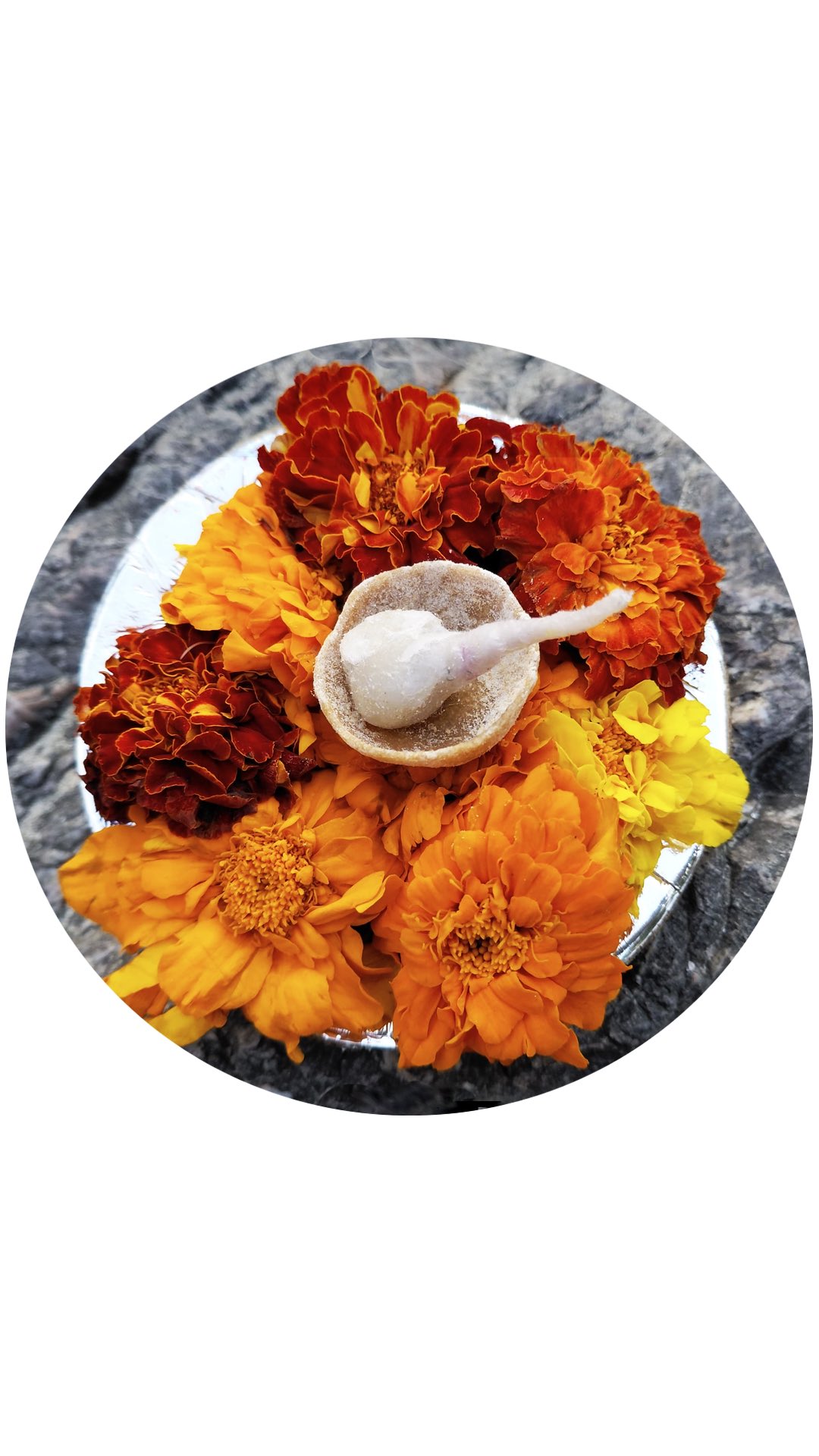 🌼Un VOYAGE au cœur des RITUELS
De retour d’Inde, les couleurs, les sons et les parfums des cérémonies sacrées vibrent encore en nous. Ce voyage a été une immersion profonde au cœur de rituels authentiques, des moments hors du temps qui donnent tout son sens à la spiritualité indienne.
C’est cette magie, cette profondeur et ces clés de compréhension que nous souhaitons partager avec vous lors d’un atelier unique sur le RITUEL.
Cet atelier est fait pour vous si :
✔️ Vous rêvez de partir en Inde et voulez comprendre sa culture avant le grand départ.
✔️ Vous en revenez et souhaitez donner plus de sens à ce que vous avez vu et vécu.
✔️ Vous êtes simplement curieux(se) et fasciné(e) par la signification des gestes, des offrandes et des rituels qui rythment la vie.
Plus qu’un cours, c’est une invitation à décrypter la poésie sacrée de l’Inde pour mieux la ressentir. 🙏
Rejoignez-nous pour découvrir les rituels les plus emblématiques et leur signification profonde.
🗓️ Quand ? Le 28 mars à 11h
🌷Tarif ? Un crédit sur votre carte de cours !
➡️ Pour vous inscrire ? www.soundyoga.fr
Les places sont limitées pour préserver la qualité des échanges. Hâtes de partager ce moment avec vous !
@soundyoga.fr
#soundyogacompiegne #voyageeninde #rituelsacré