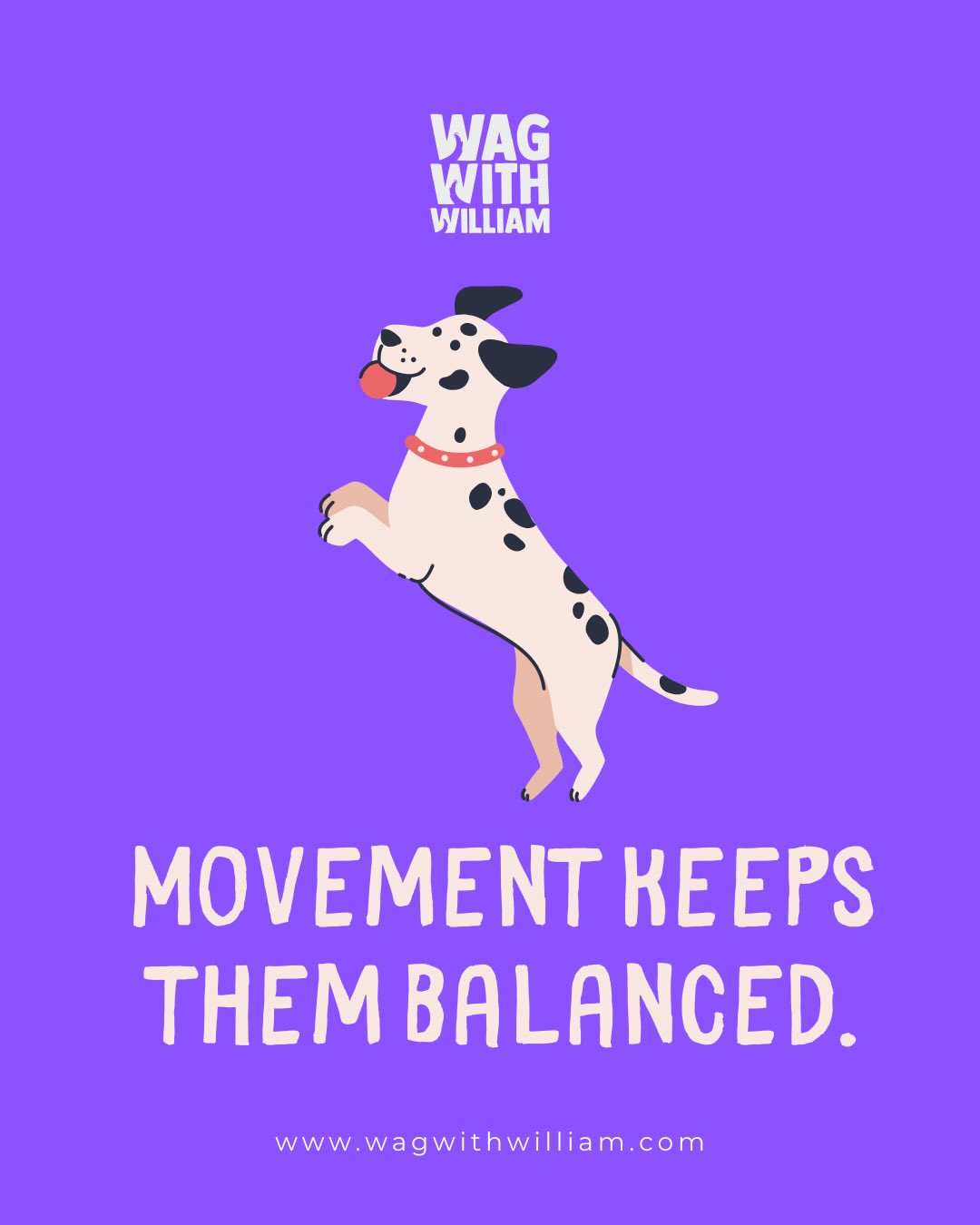 Movement keeps them balanced. #WagWithWilliam #FearFreeTraining #PositiveReinforcement