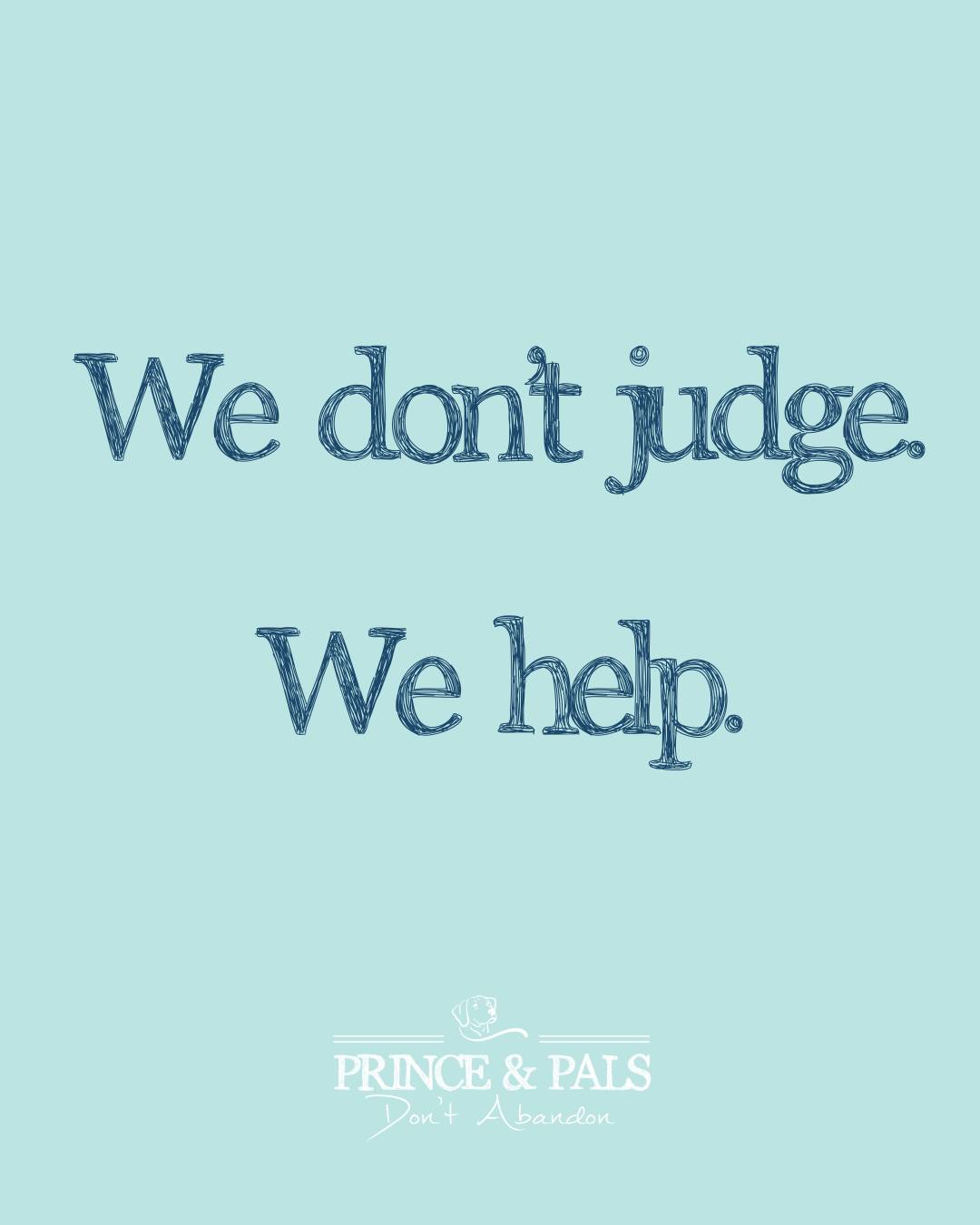 If you’re overwhelmed, struggling, or unsure what to do, ask for help.
There are resources. There are rescues. There are people who care.
#princeandpals #dontabandon #dogs #dogrescues #dogrescue #rescue #adopt