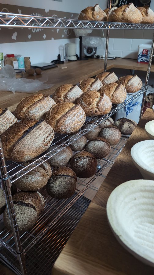 You wanna get sour? 😏
Komm zum Sauerteig-Workshop
und lern, wie echtes Brot entsteht 🍞
Samstag 21.03. 👉 für spontane Brotliebhaber noch 1 Platz frei! 👀
Schnapp ihn dir über den Link in Bio 🔗
#sourdough
#burgdorf
#brotbacken
#brotliebe
#sauerteigbrot