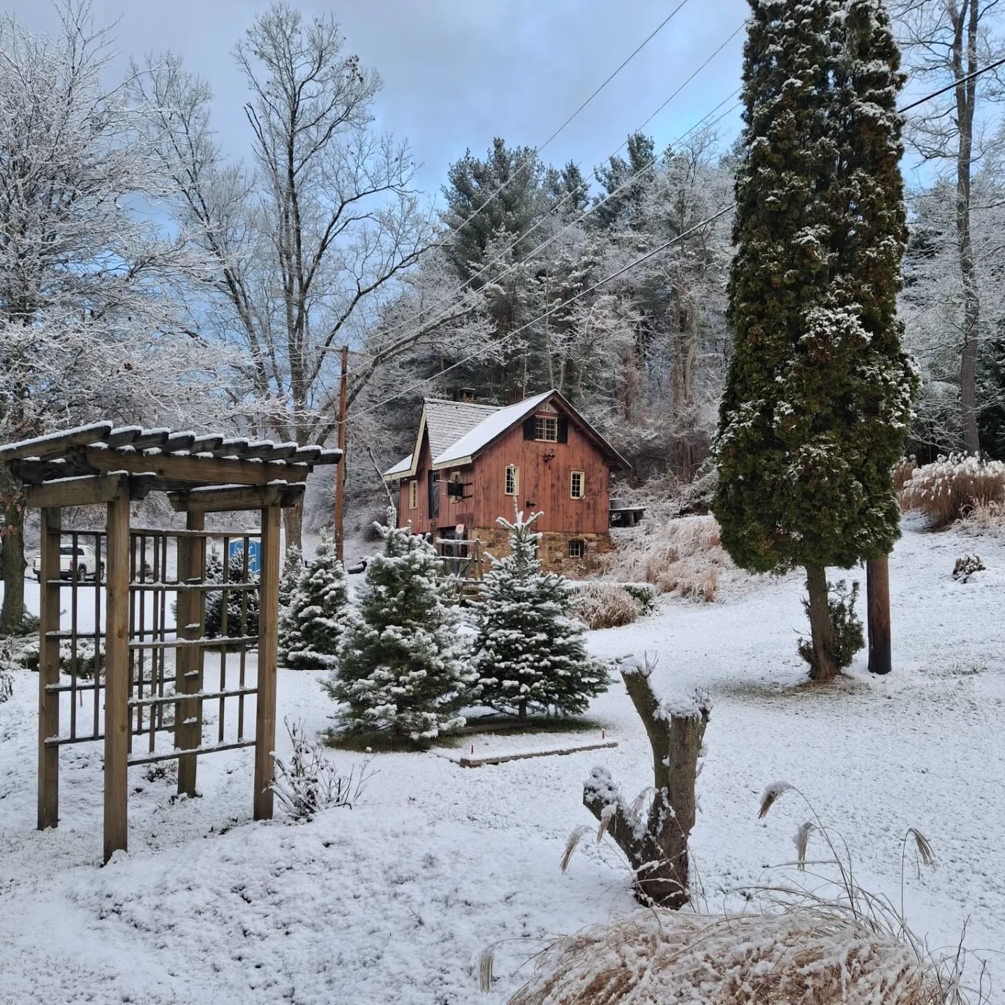 First snow of the season on Thursday. About 1" of snow ❄️.