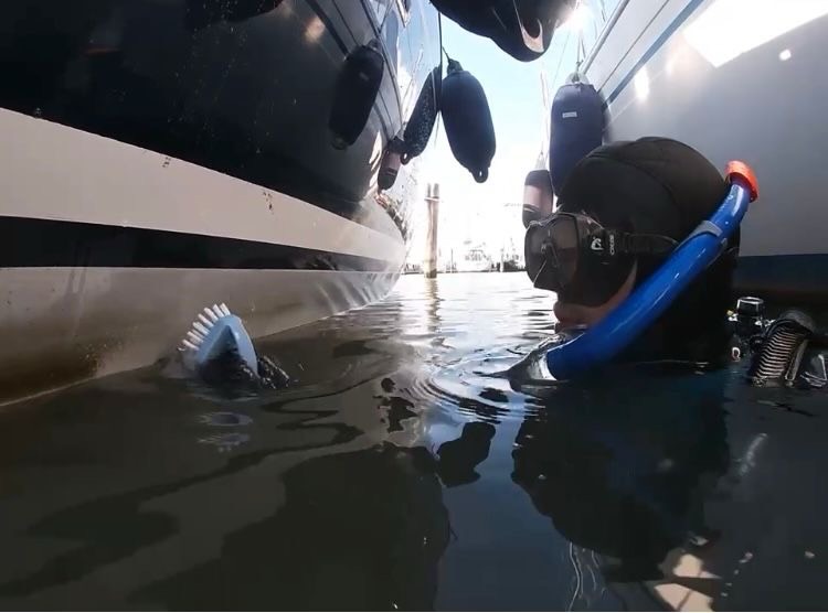 EcoHull erbjuder bottentvätt åt ASS medlemmar den 29.6 samt 11.8–12.8 i hemmahamnen på Beckholmen.
Personerna bakom EcoHull är studerande från Åbo som arbetar för ett mer livskraftigt Östersjön. Deras mål är att göra det enkelt för båtägare att hålla sitt skrov rent genom att erbjuda bottenrengöring som ett alternativ till giftfärg.
Servicen går ut på att dykare rengör det anti-fouling-fria skrovet från alger medan båten ligger i vattnet.
Platserna är begränsade – boka din tid via hemsidan https://ecohulls.org/en