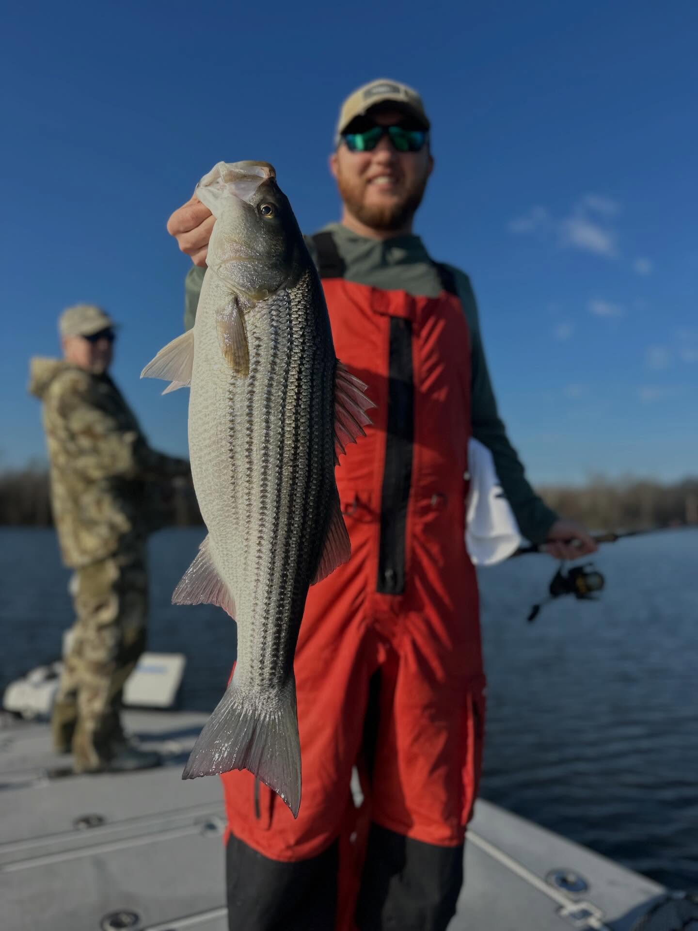 Action all day for @andersontran and crew! Days fly by when the fish are biting and jokes are flying, awesome crew to spend a day on the water with. Enjoyed guys! I’ve got Thursday available if anyone is looking to get in a good bite and warmer weather. #stripers #guide #bookatrip #striperfishing #catchandrealease