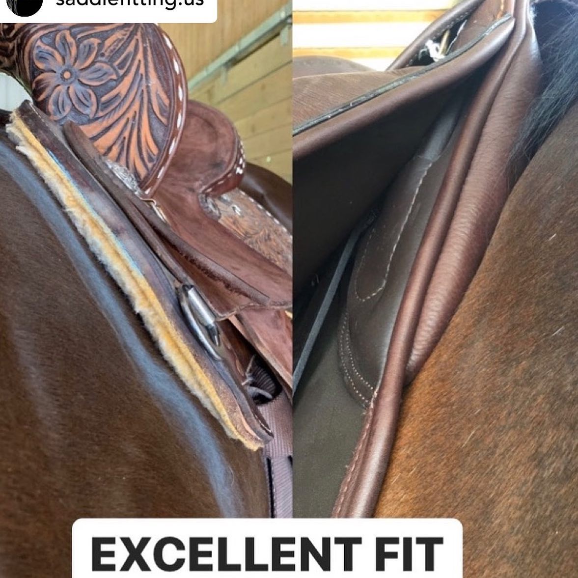 It is so important to get a saddle that fits correctly, not just for your benefit, but also for your horse 🐎⠀
⠀
In the photos above, you can see the first saddle fits perfectly, then the next two are too wide...⠀
⠀
👉🏼 Can you spot that too from the pictures?⠀
⠀
Reposted from @saddlefitting.us ⠀
⠀
⠀
⠀
⠀
#westernsaddlefit #saddlefitting #saddlefitter #horsesofinstagram #ridersofinstagram ⠀
#Saddletrader #saddletraderuk #Saddle #Saddleforsale #stocksadle #horseridinguk #horsesofinstagram #Tackforsale #saddleshop #saddlery #PerfectSaddle #Spotthedifference #countrylife #horserider #equinelove #countrysideliving