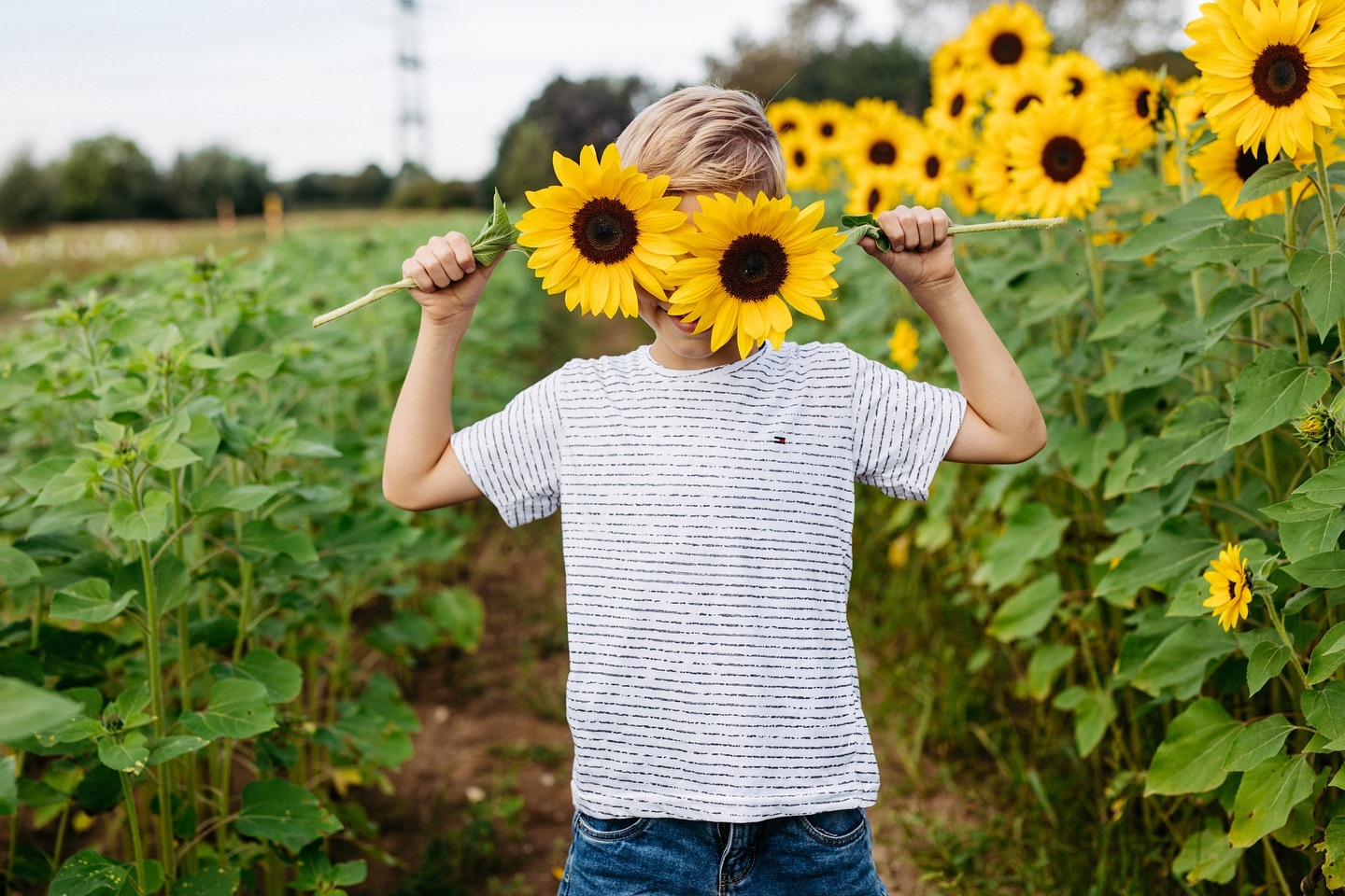 #sunflowershooting #sunflowerfield #sonnenblumenfeld