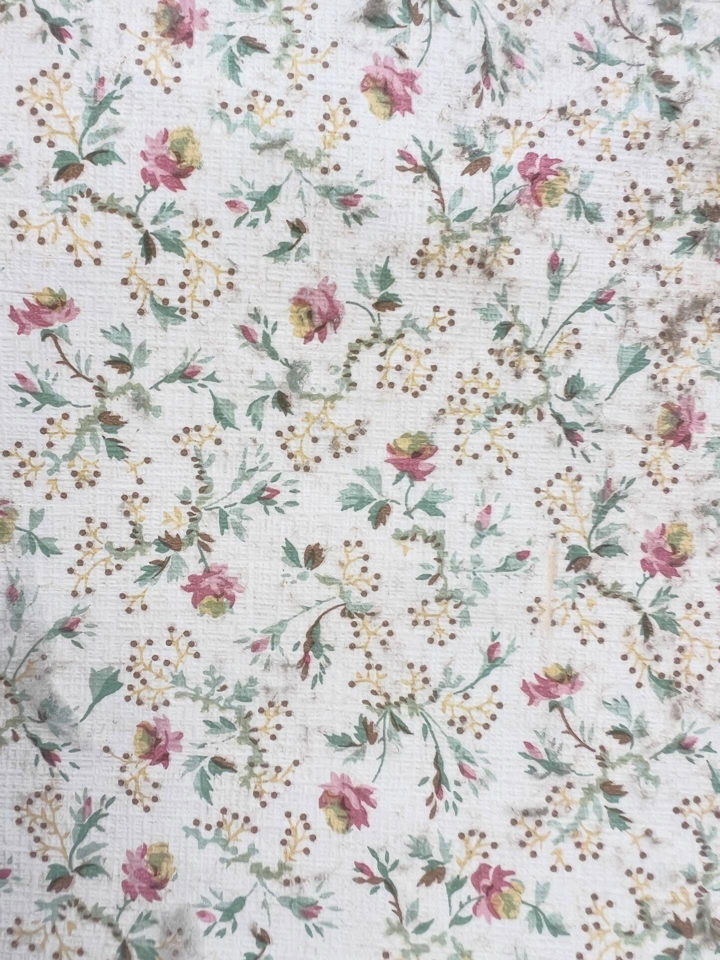 We found this old vintage wallpaper behind other wallpaper in an old cottage. Love little finds like this. This one is a reminder that spring is on the way.