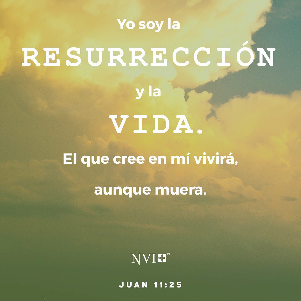 On to “I am” statement number 5!
A promise that applies in the present and the future.
#promises #promesas #lightoflife #luzdevida