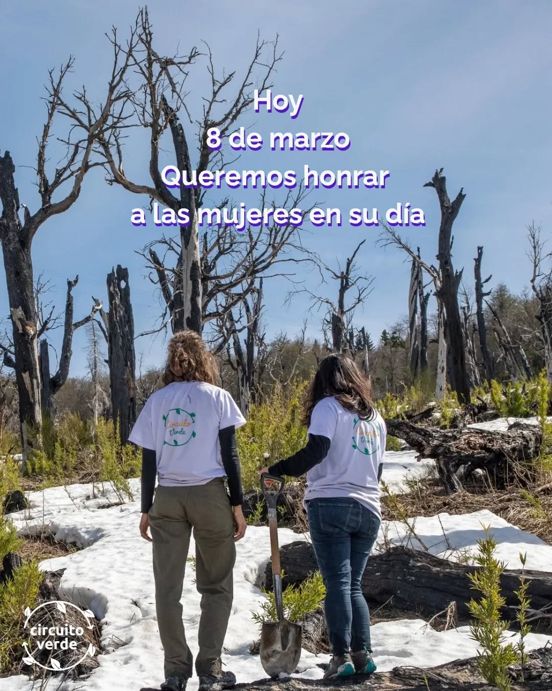 Hoy, 8 de marzo, honramos a todas las mujeres 💜🌿
A las que sostienen, a las que cuidan, a las que siembran esperanza incluso en los días difíciles.
A las que luchan por un mundo más justo, más humano y más vivo.
En Circuito Verde tenemos la suerte de caminar junto a mujeres increíbles. Mujeres distintas, con historias y caminos propios, pero unidas por algo profundo: el deseo de cuidar la vida
Cada una, con su tiempo, su energía y su amor por la tierra, deja una huella en esta comunidad.
También queremos agradecer a todas las mujeres que, desde distintos lugares, acompañan y sostienen este camino: mamás, amigas, compañeras y quienes siempre están cerca apoyando este proyecto.
Gracias por poner el cuerpo, el corazón y la esperanza en cada paso que damos juntas.
Porque cuando las mujeres se encuentran para cuidar la vida, algo hermoso empieza a crecer.
Gracias por ser parte del cambio 💜
#8M
@natmi.ph
@vitopiras.ph
@ivandeiana
@branko_zuniga
@julai.ibarra