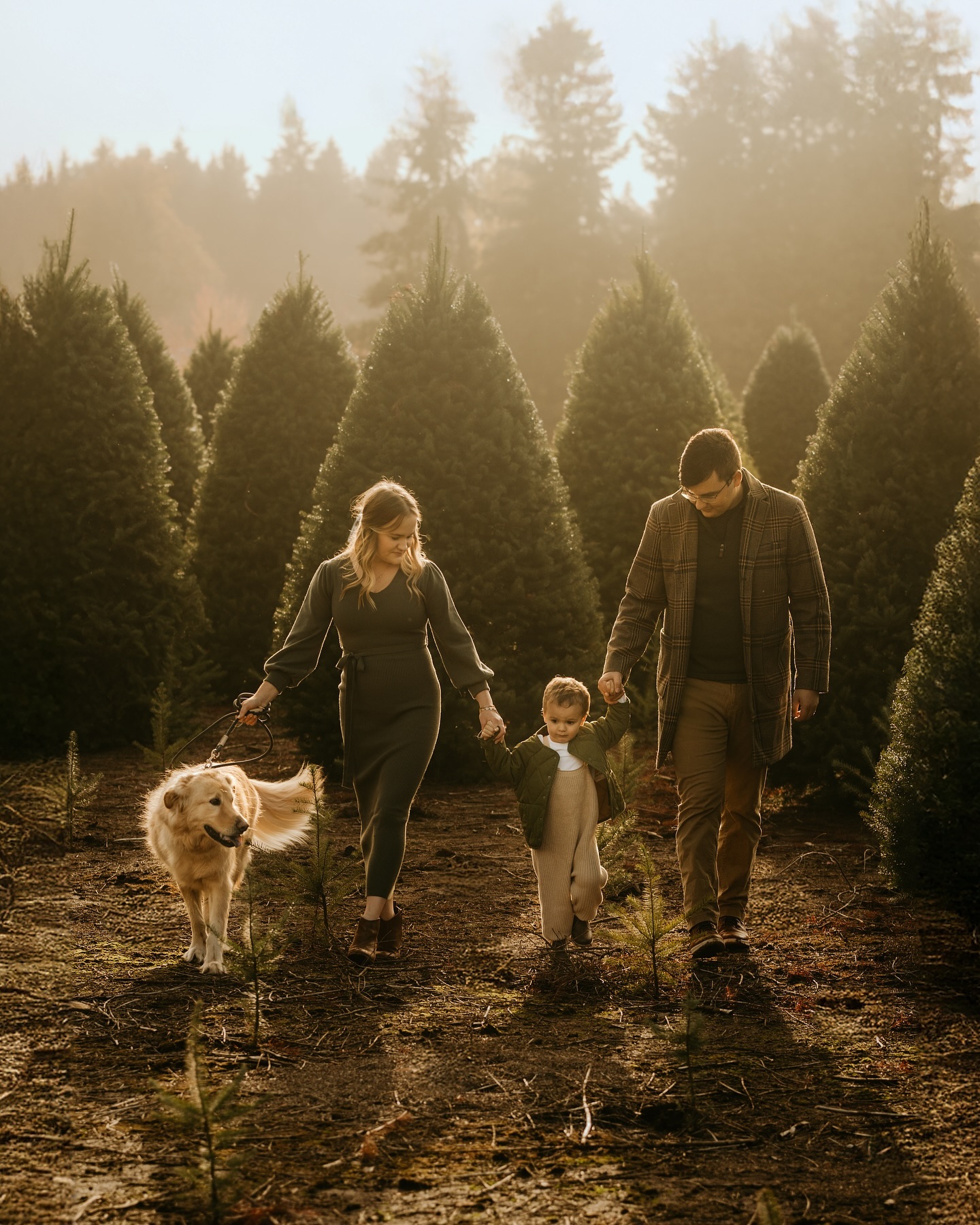Only 42 more days till Christmas!! 🎄🎅🏼
Here’s a little sneak peek for all of my Tree Farm clients this year at the beautiful @tree_kings_oregon 🤍
